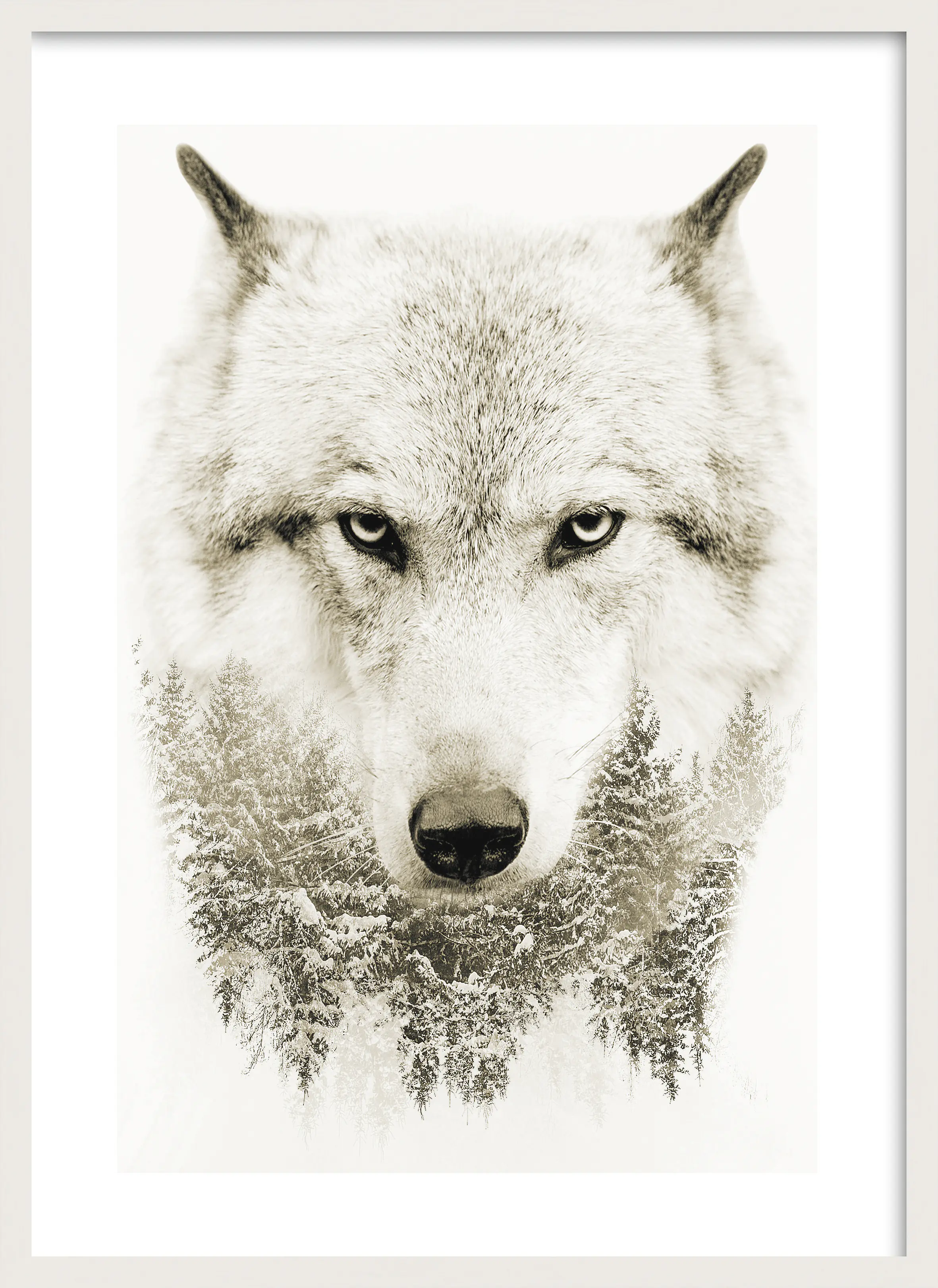 Bilderrahmen Holz Luzern weiß 50 x 70 cm