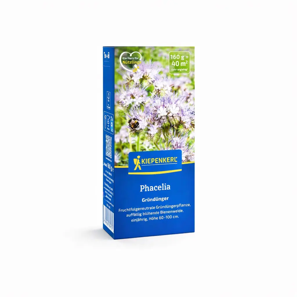Kiepenkerl Gründünger Phacelia für ca. 40 m²