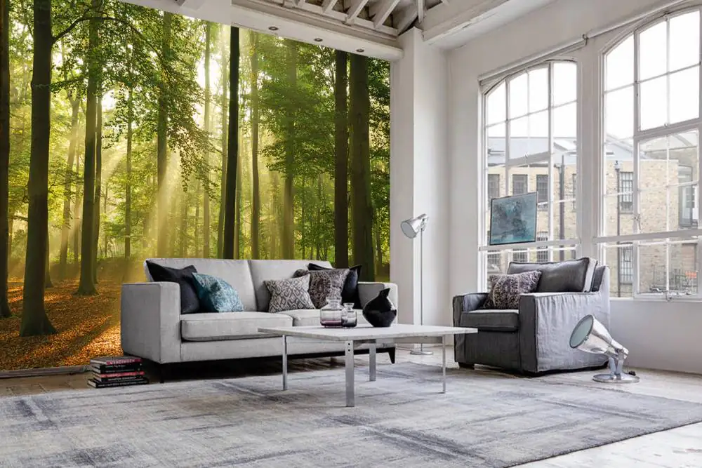 papermoon Vlies- Fototapete Digitaldruck 350 x 260 cm Forest in the Morning