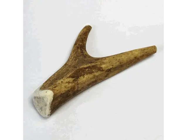 Larsson Geweih Full-Chew M