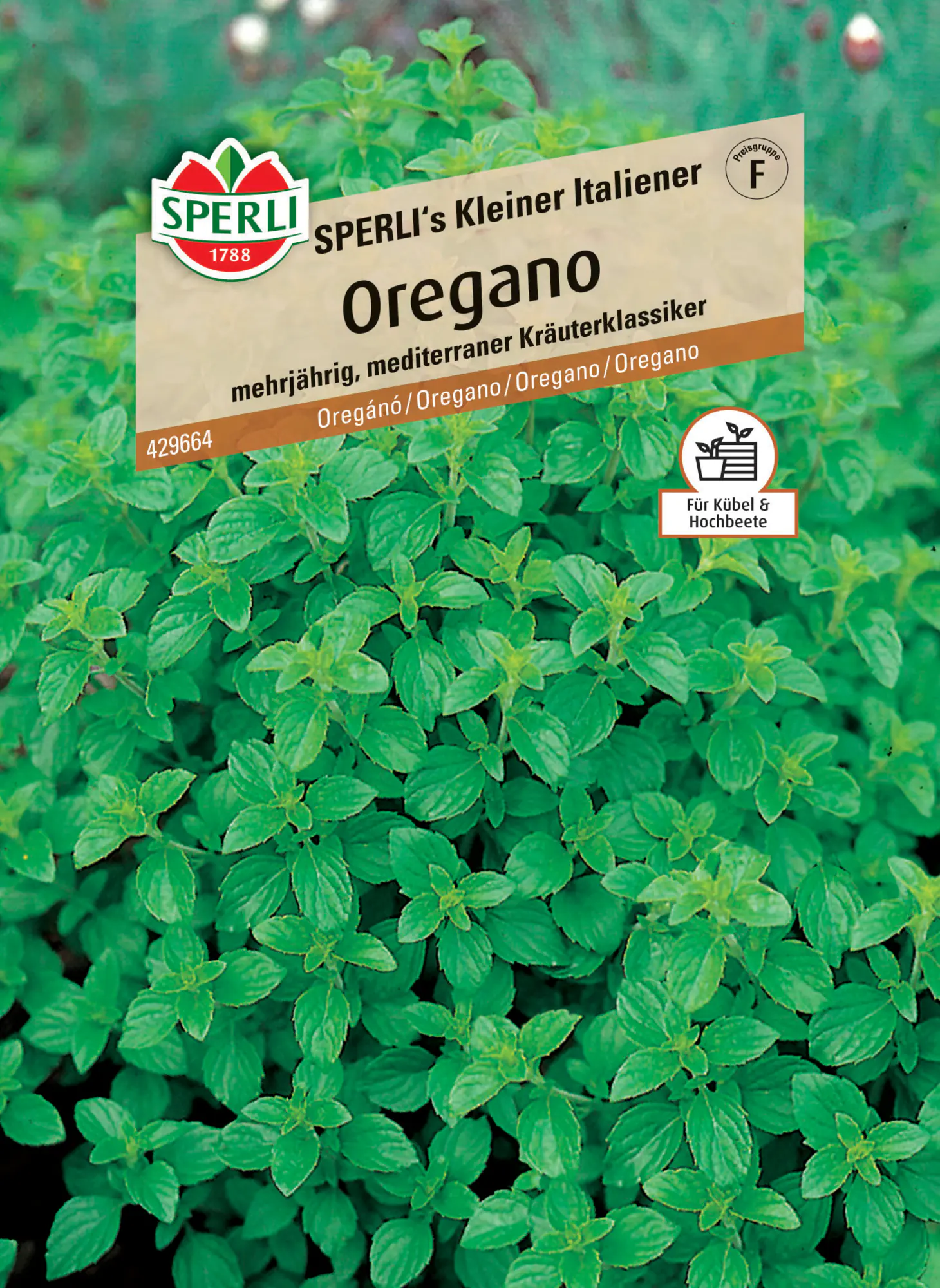 Sperli Oregano Sperli 's Kleiner Italiener