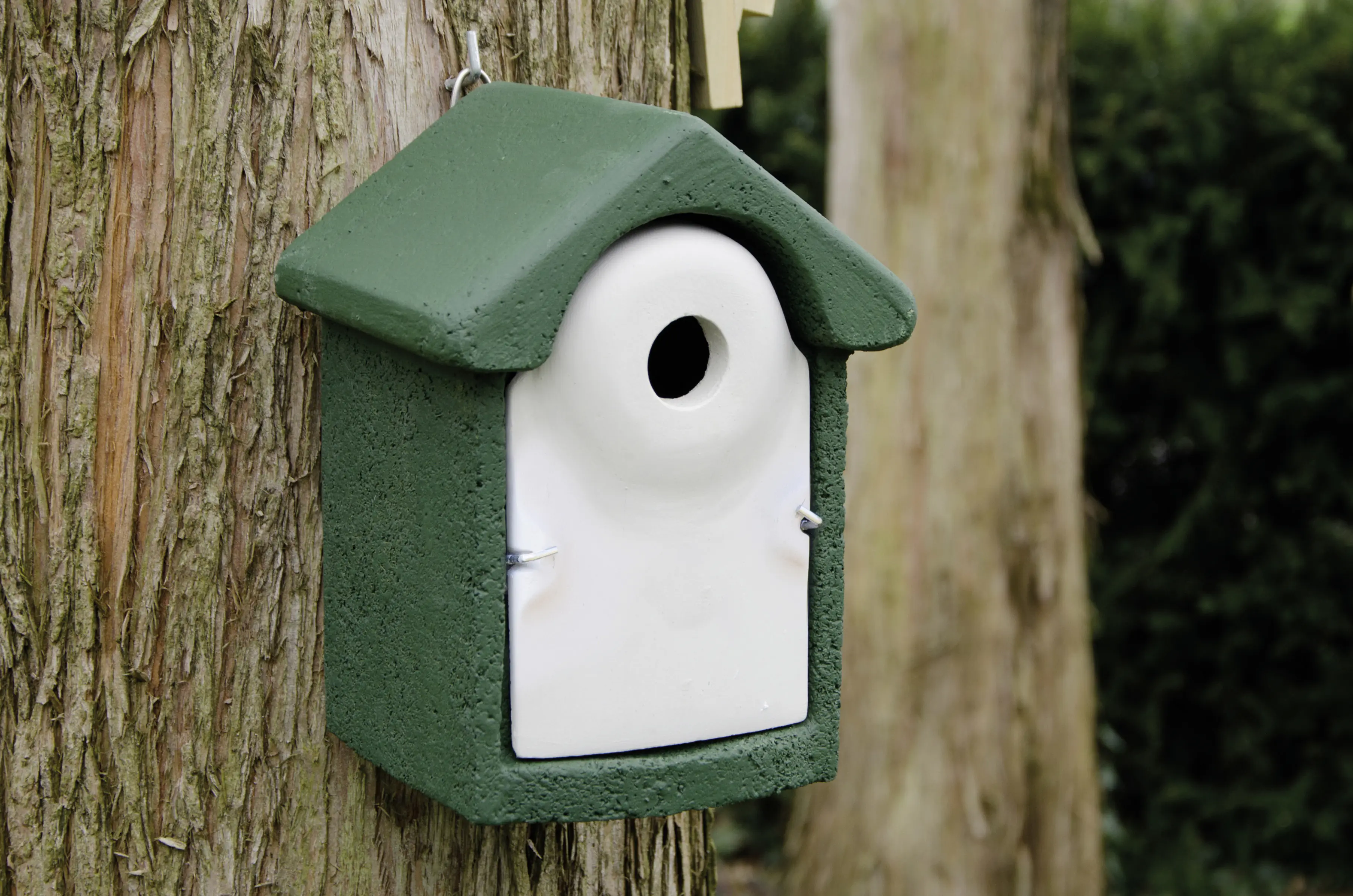 CJ Wildlife Nistkasten Holzbeton grün/weiß LxBxH: 24x19x18 cm