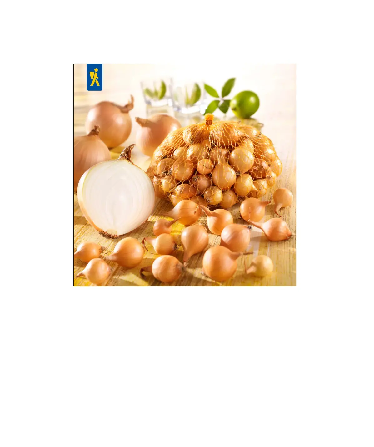 Kiepenkerl Pflanzgut Gelbe Wintersteckzwiebel Senshyu Yellow 250 Gramm