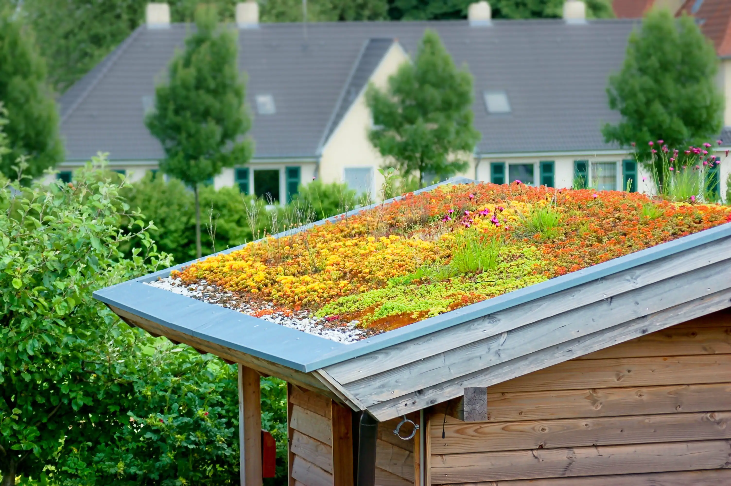 Dachbegrünung bis 25° Dachneigung 23 m² Dachbegrünung bis 25° Dachneigung 23 m²