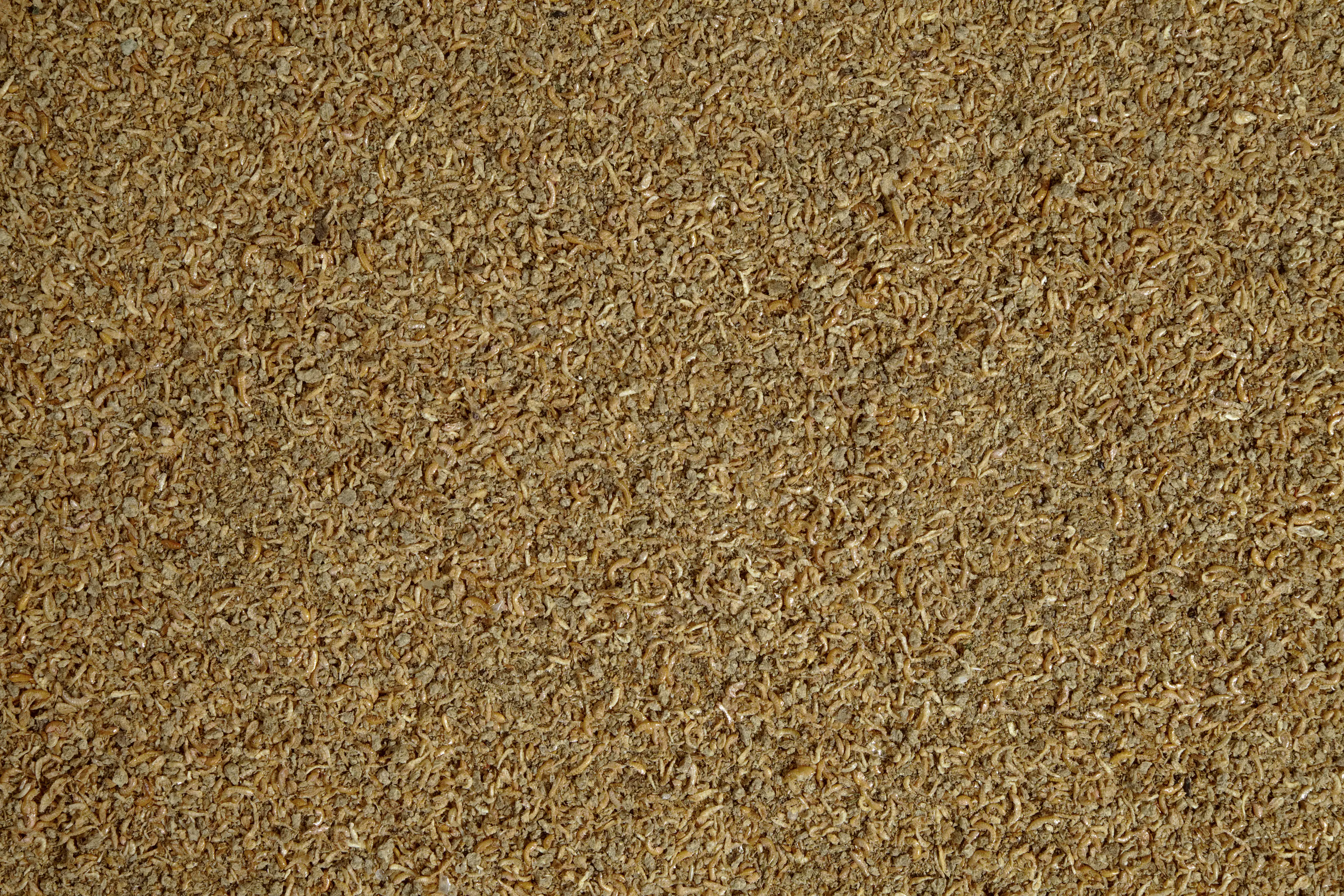 Tetra Delica Mix 250 ml