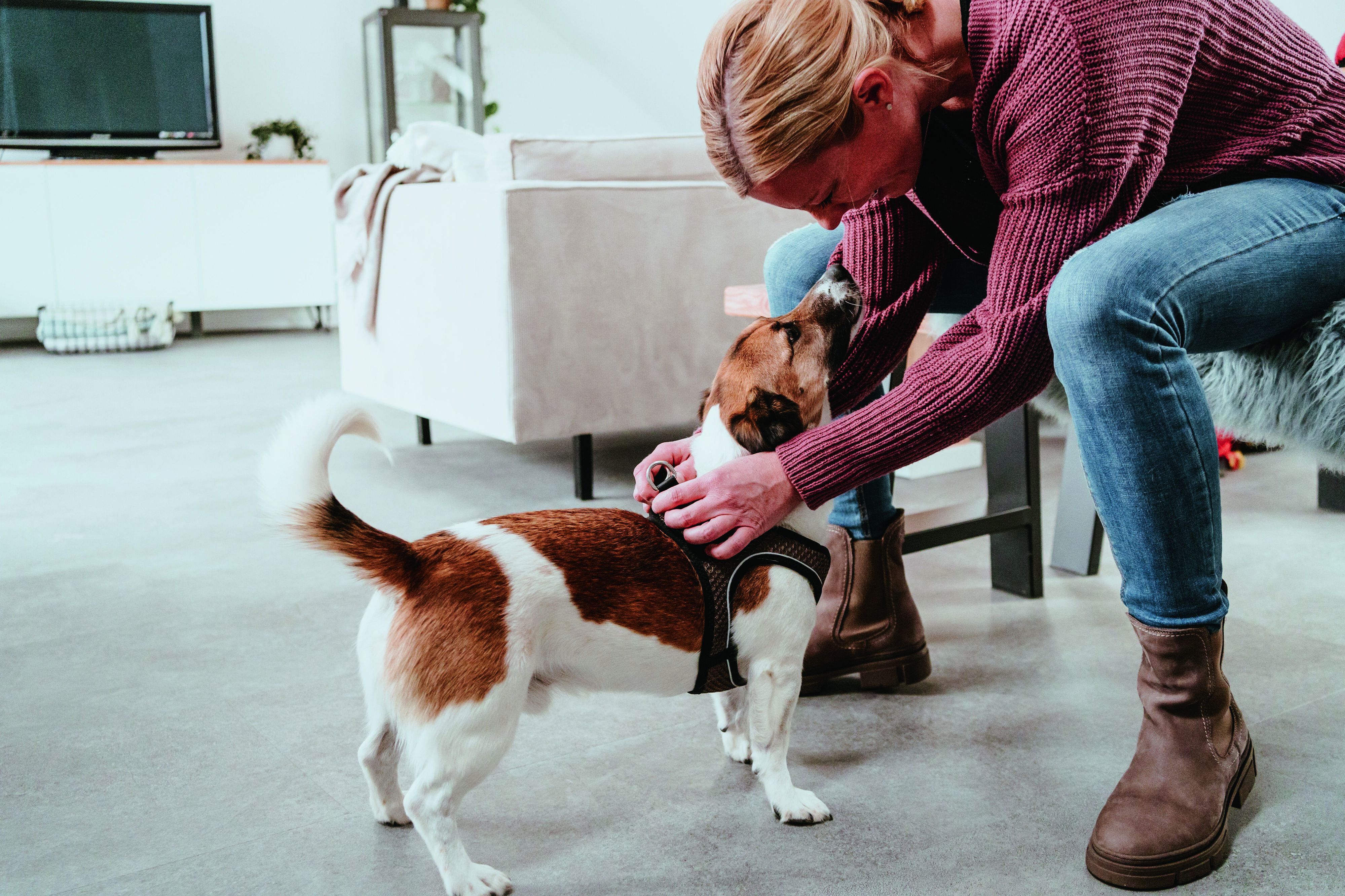 Hunter Hundegeschirr Hilo Comfort S braun