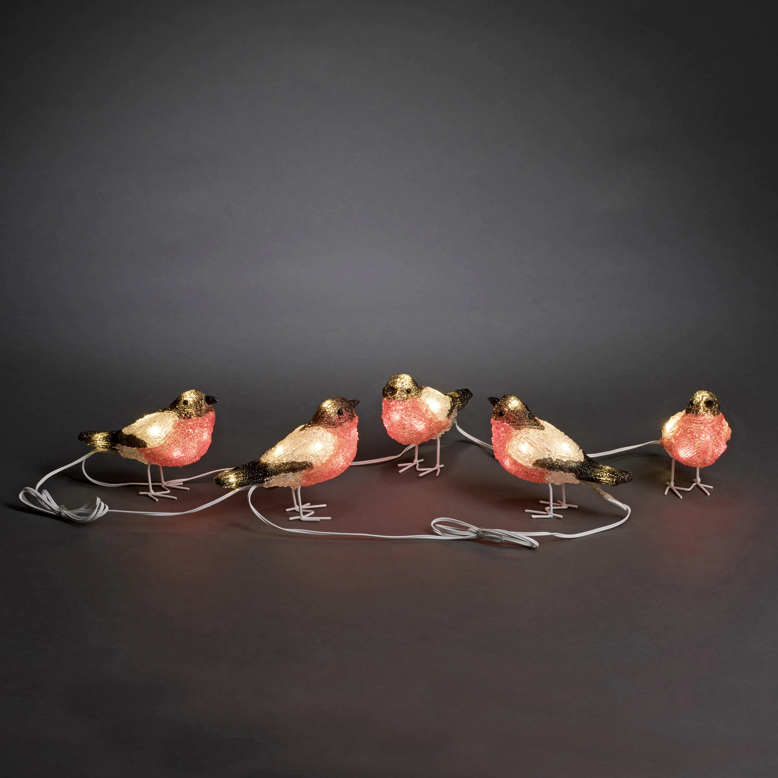 7318302692032 Konstsmide Lichterkette Acryl LED Rotkehlchen 5-er Set