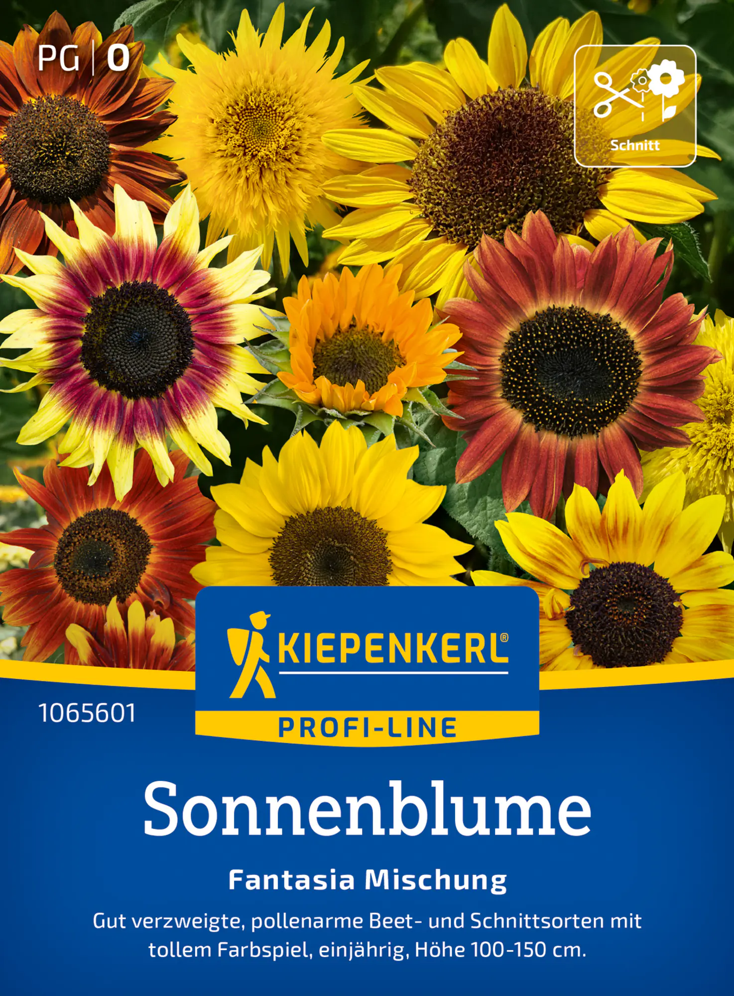 Kiepenkerl Profi-Line Blumensamen Sonnenblumen Fantasia Mischung F1 für ca. 20 Pflanzen