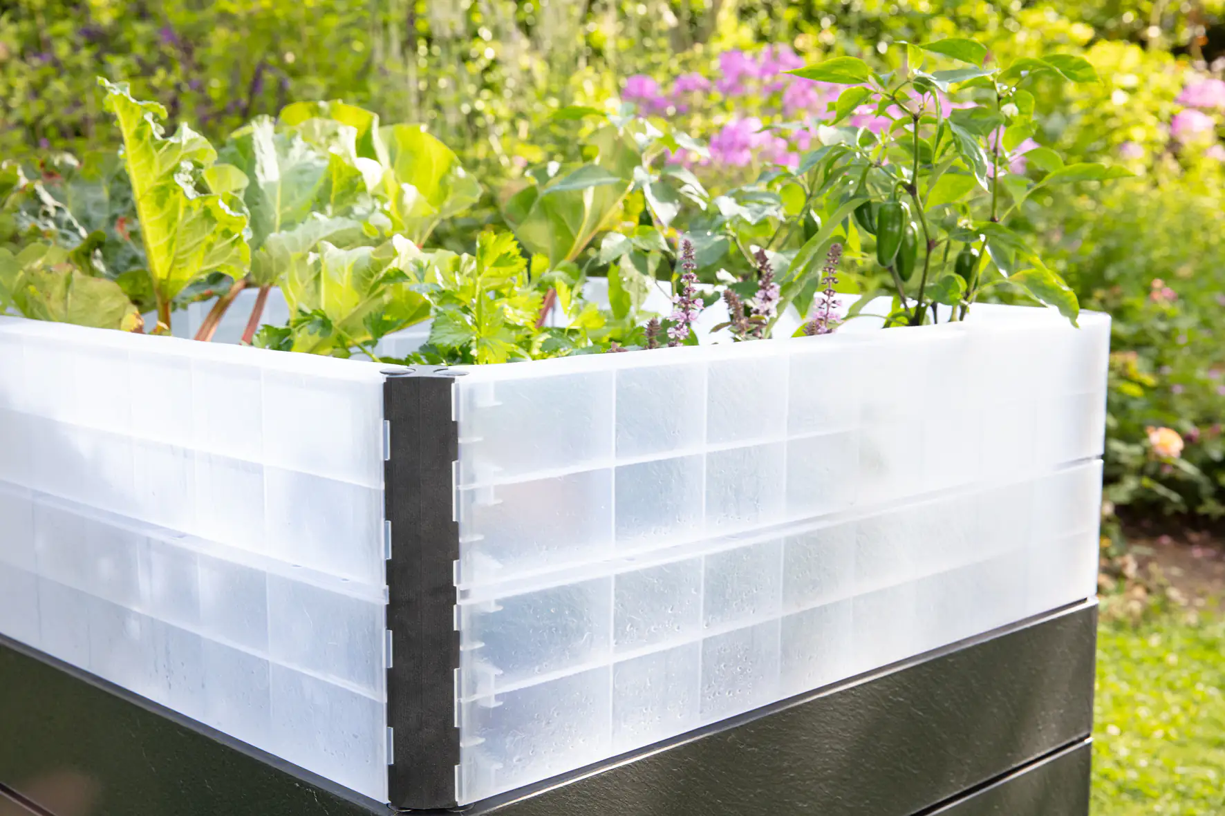 Garantia ERGO Quadro L Wachstumsmodul für Hochbeet Ergo Quadro L