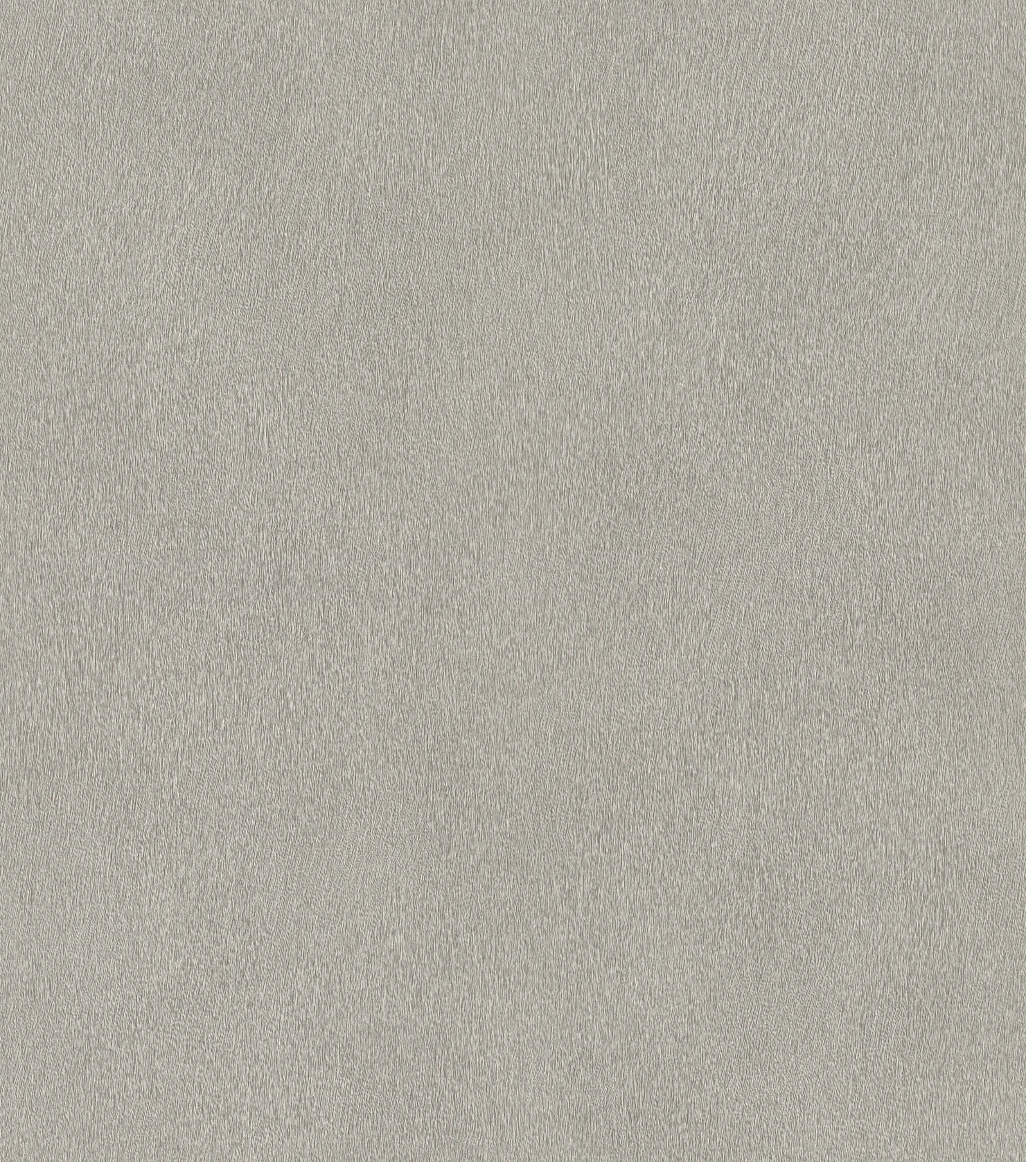 Rasch Vliestapete 751062 Grau-Hellgrau Uni 10,05 m x 0,53 m