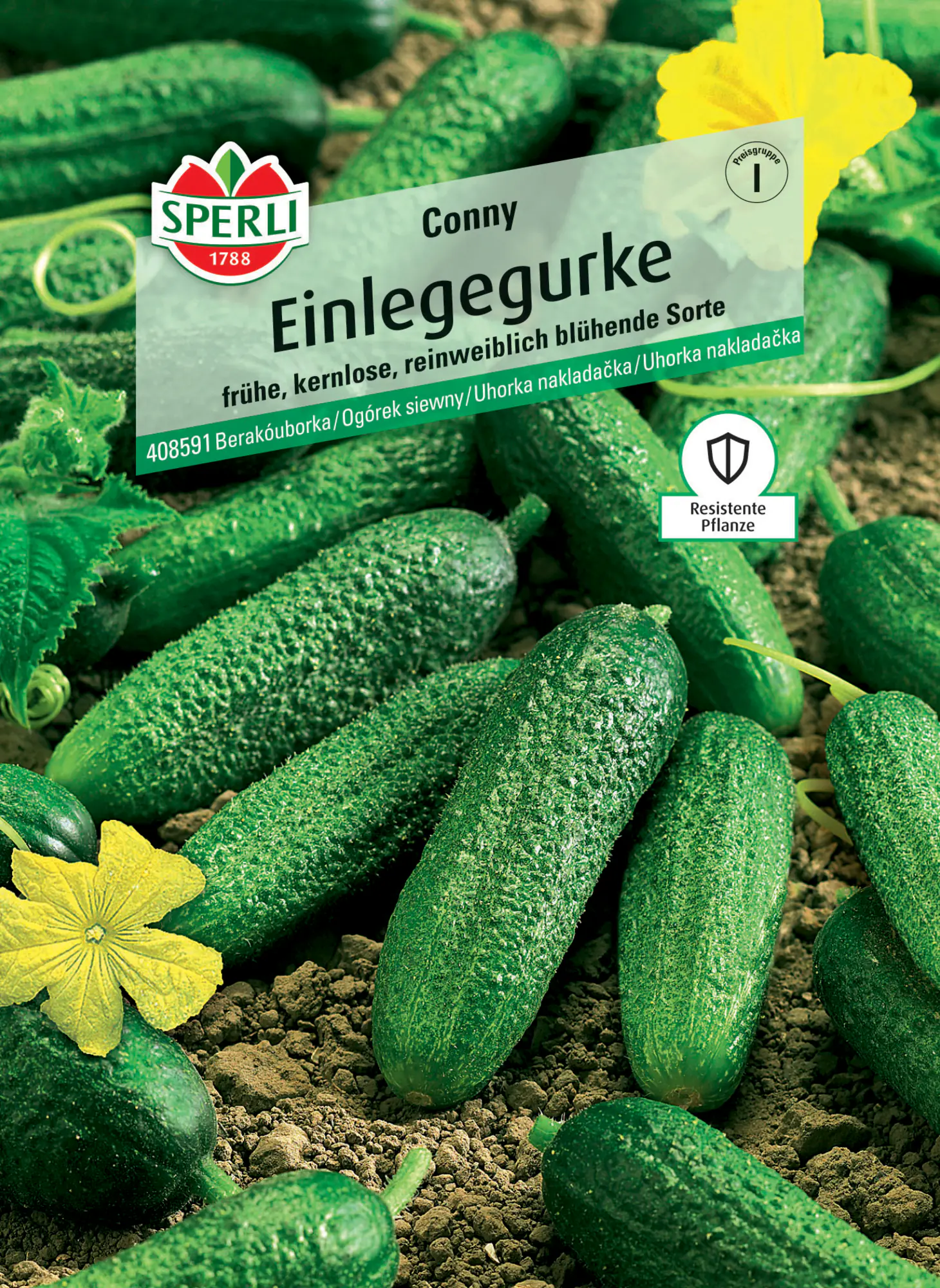 Sperli Saatgut Einlegegurken Conny F1 für ca. 20 Pflanzen