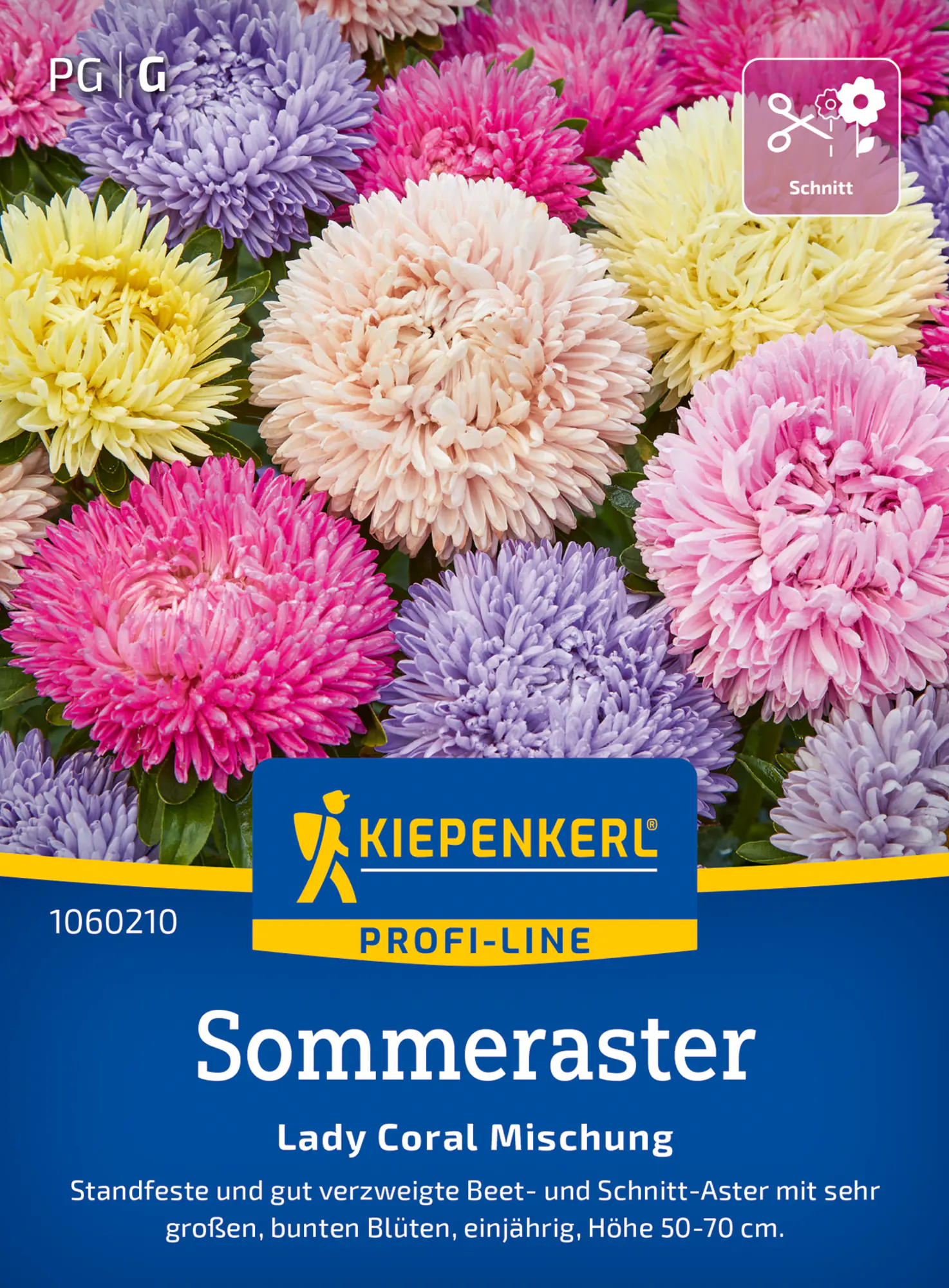 Kiepenkerl Profi-Line Blumensamen Sommeraster Lady Carol Mischung für ca. 50 Pflanzen