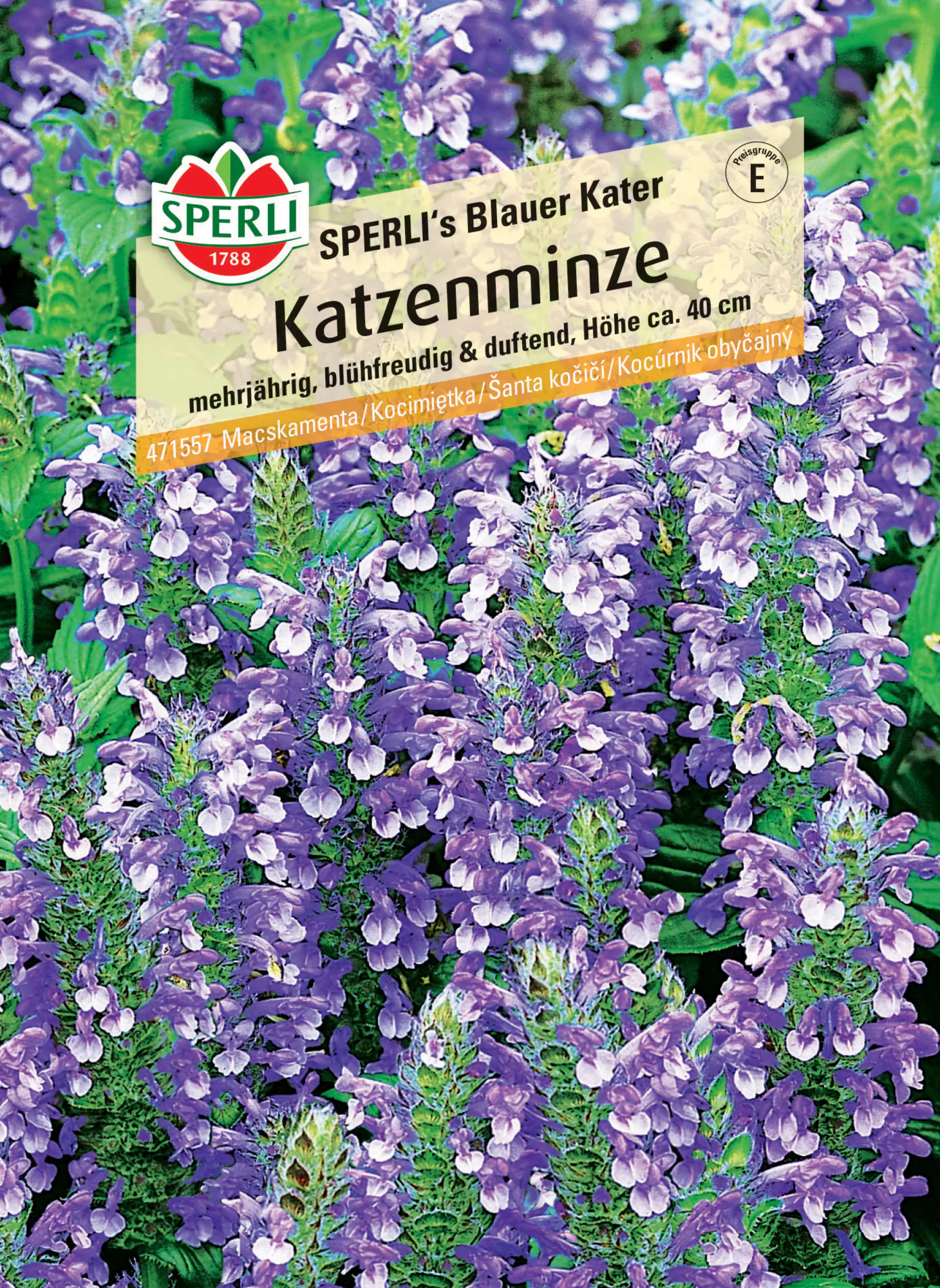 Sperli Katzenminze Sperli's Blauer Kater