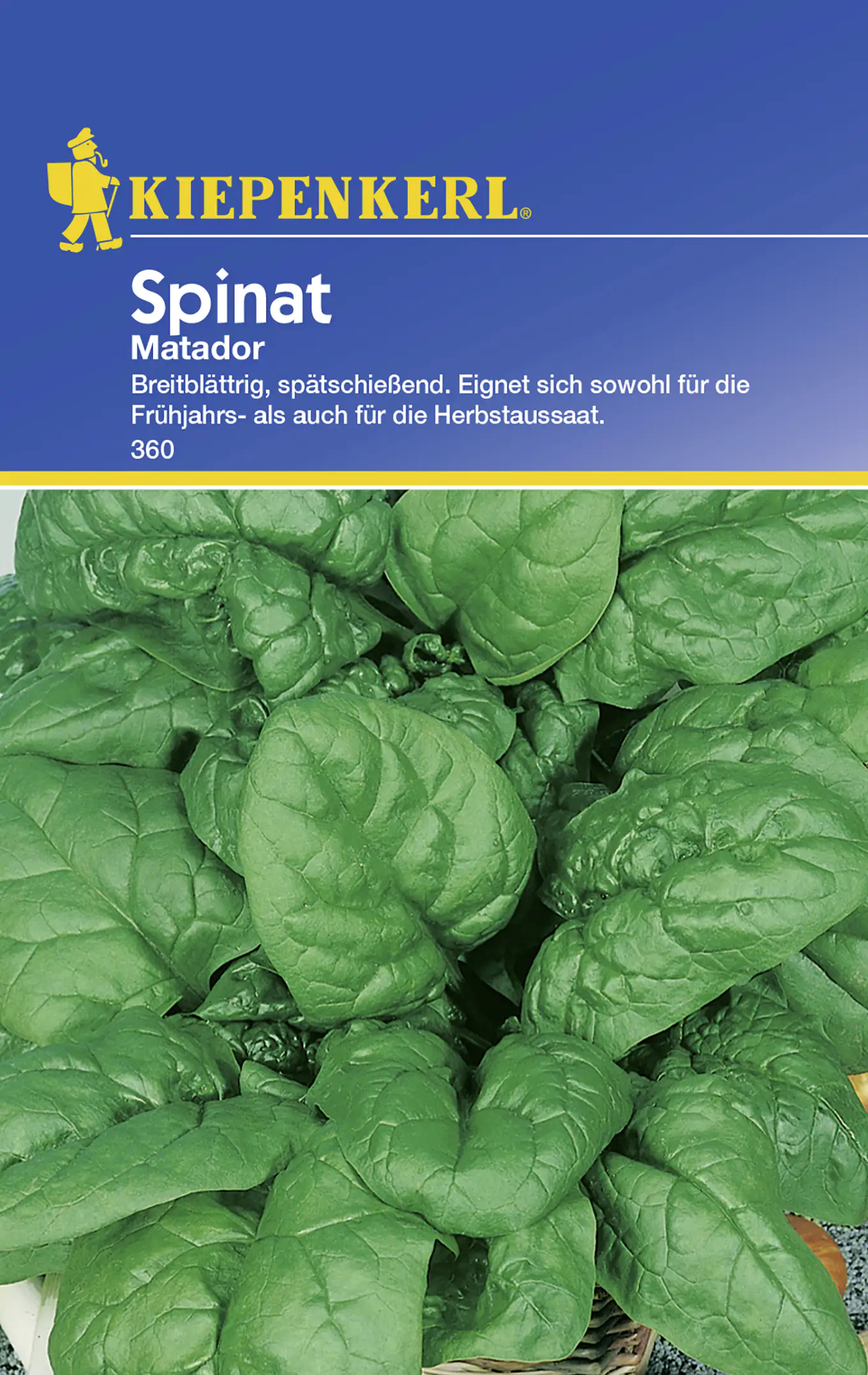 Kiepenkerl Spinat Matador Spinacia oleracea, Inhalt: ca. 8 lfd. Meter