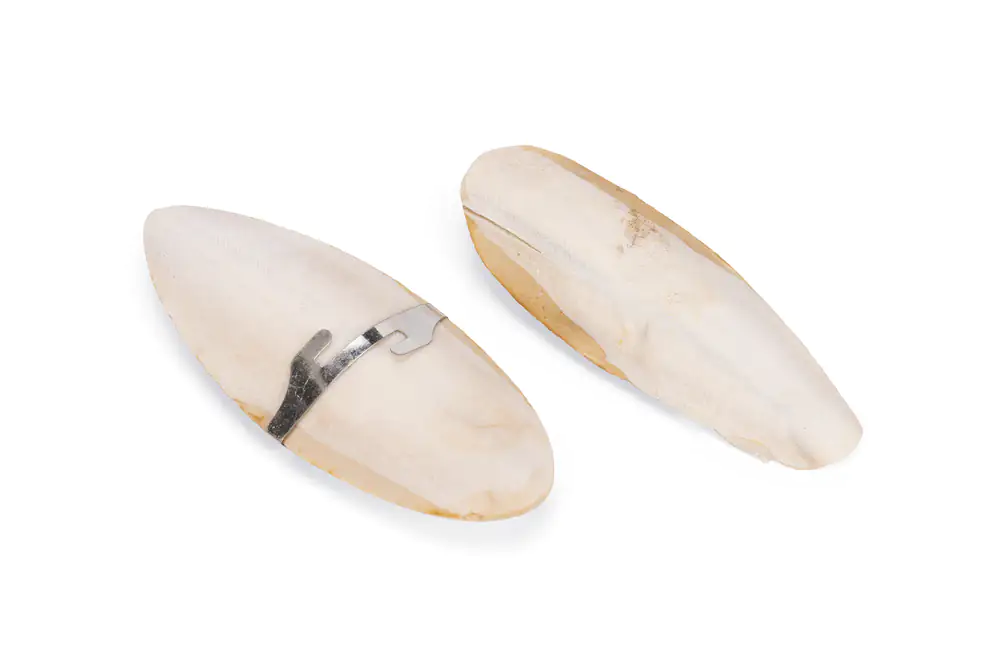 Sepiaschale 2Stück 13,5cm Sepiaschale 2Stück 13,5cm