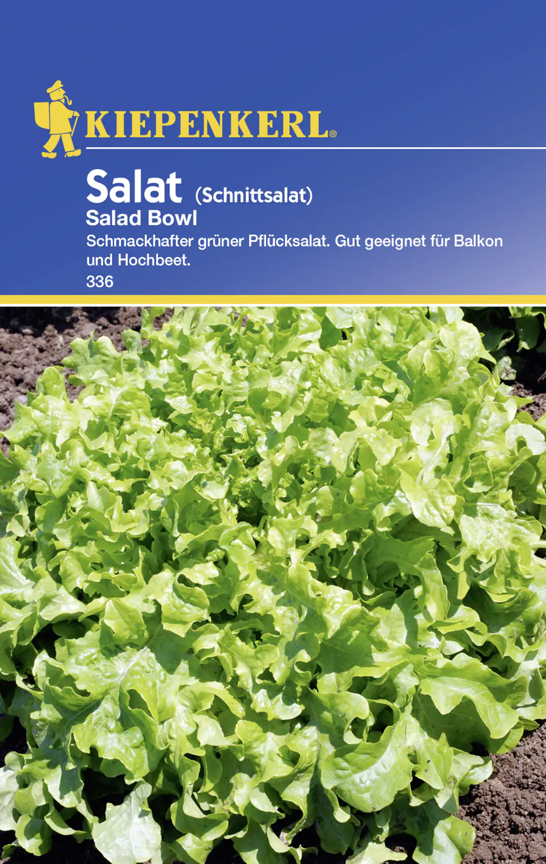 Kiepenkerl Schnittsalat Salad Bowl Lactuca sativa, Inhalt: ca. 5 lfd. Meter Kiepenkerl Schnittsalat Salad Bowl Lactuca sativa, Inhalt: ca. 5 lfd. Meter