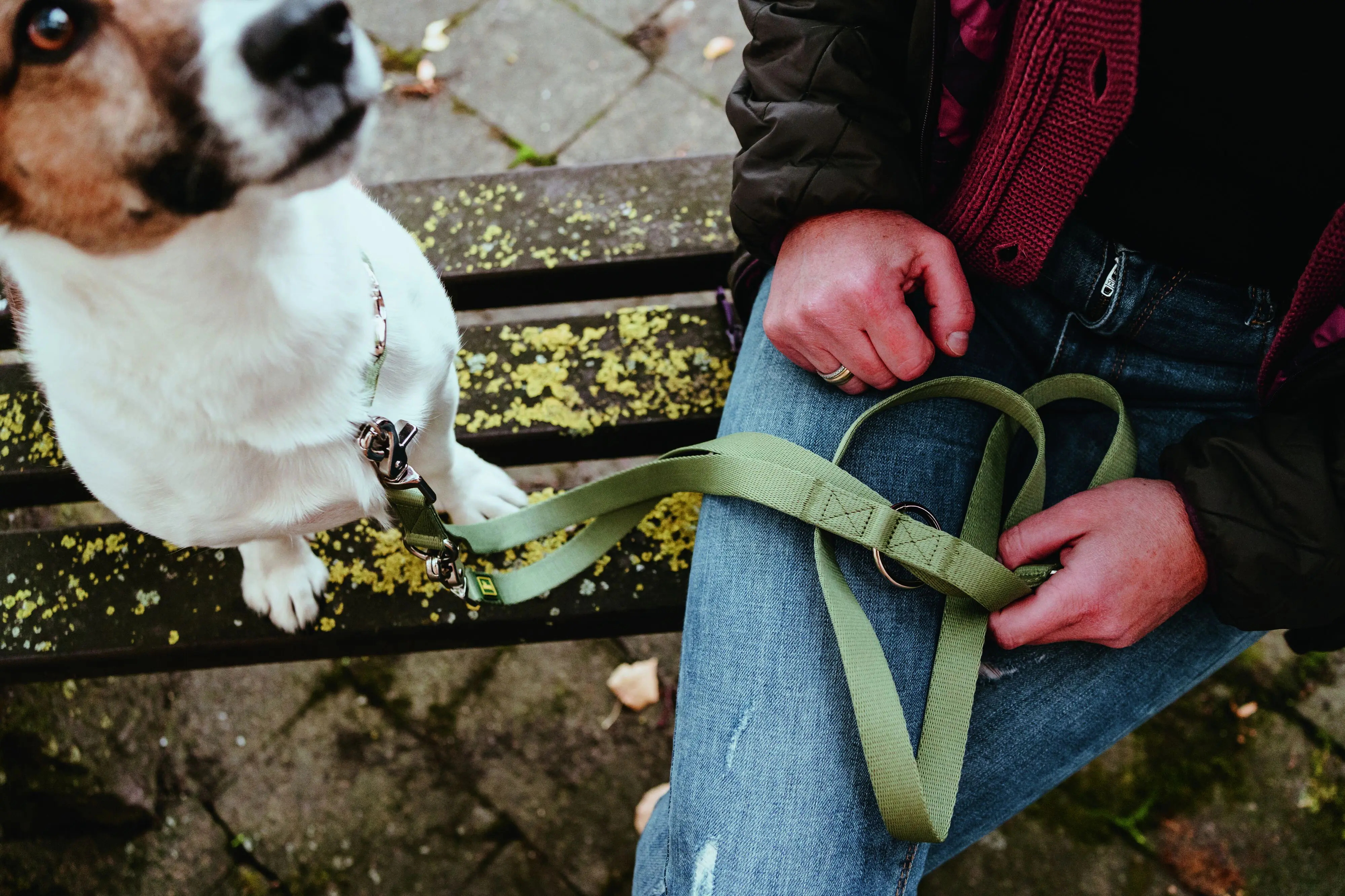 Hunter Hundeleine Führleine verstellbar Inari 2 m x 2,5 cm lindgrün