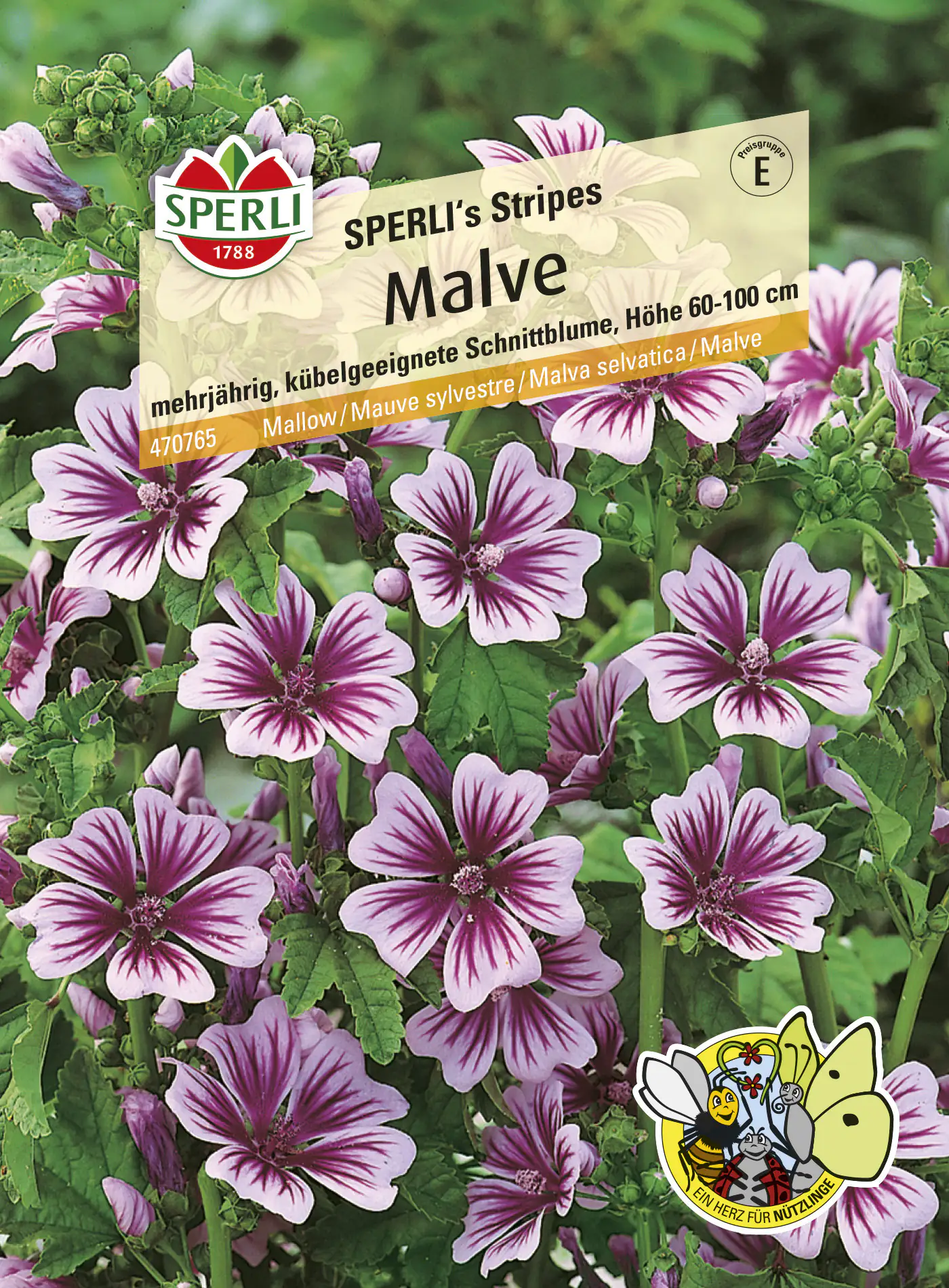 Sperli Malve SPERLI's Stripes