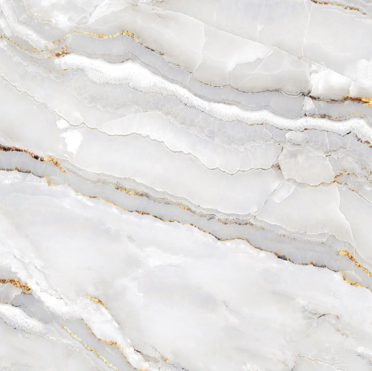 Bodenfliese Feinsteinzeug Alabaster Cleo Light 60 x 60 cm weiß/gold