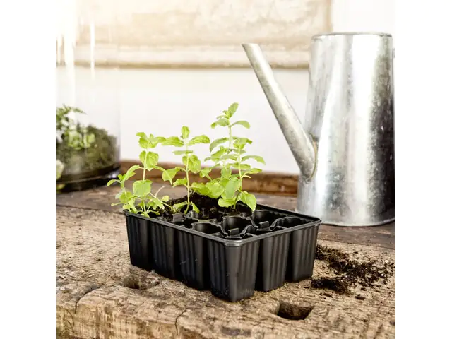 Windhager Topfplatten 4 x 12 Töpfe Windhager Topfplatten 4 x 12 Töpfe