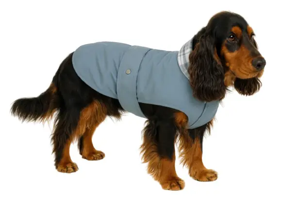Nobby Hundemantel Sela grau