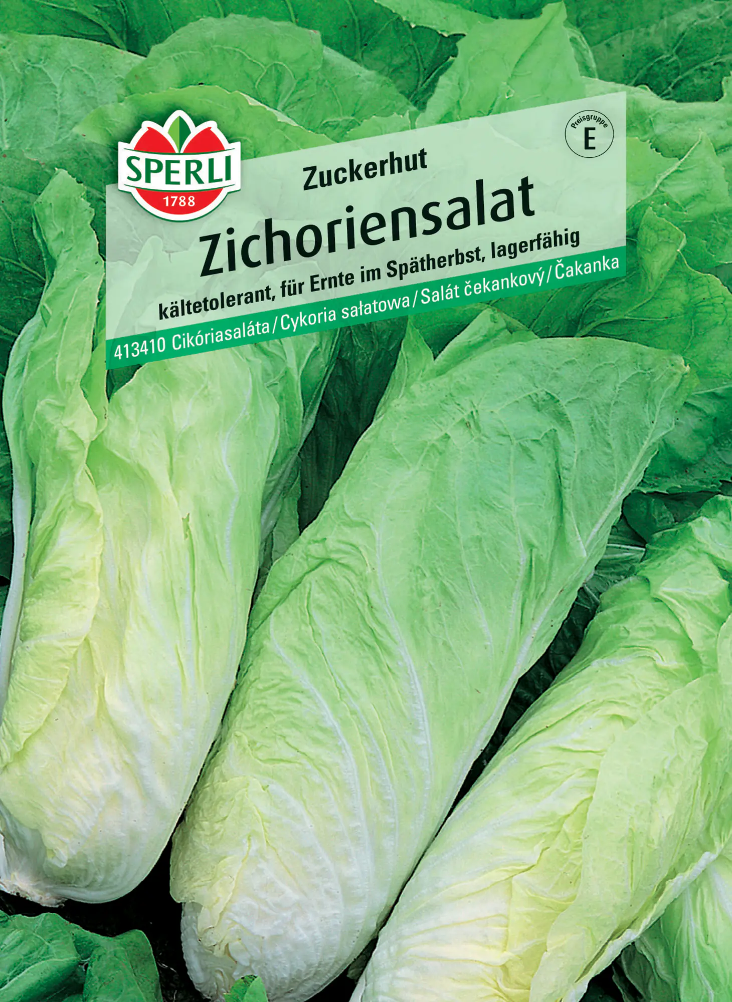 Sperli Zichoriensalat Zuckerhut
