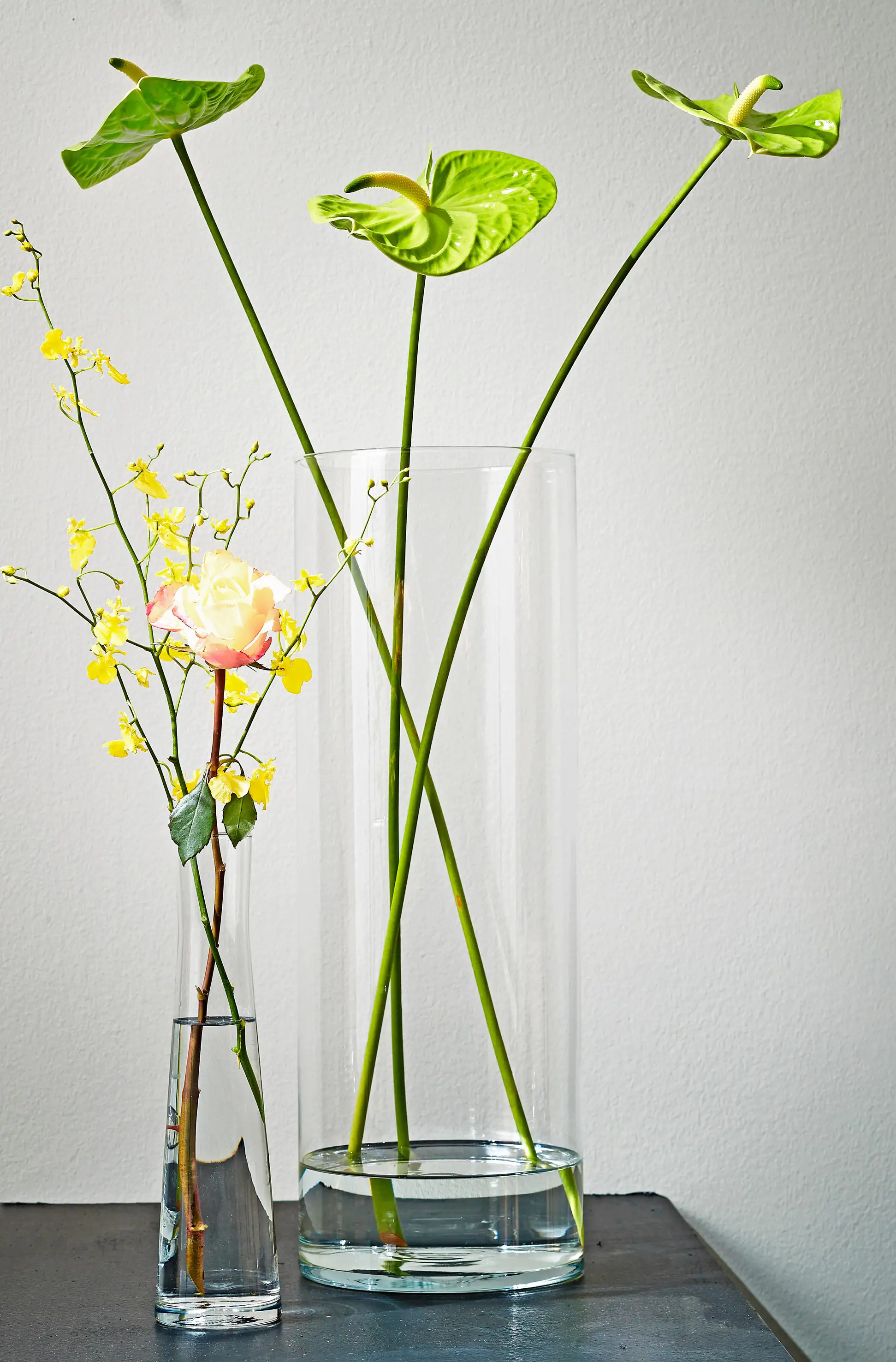 Mica Vase Charly Zylinder Glas 48 x 19 cm