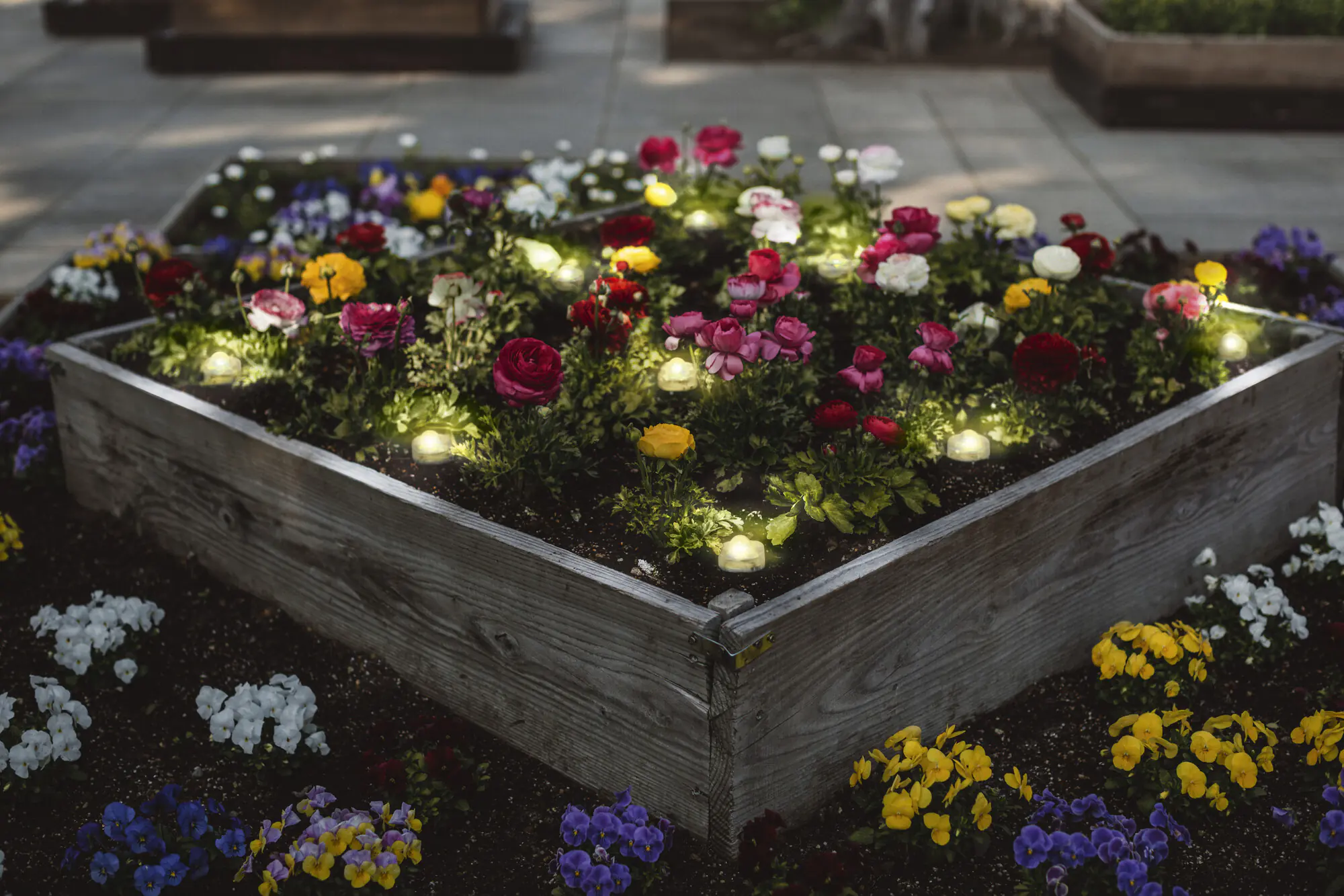 Ledvance LED Außenleuchte Smart+ WiFi Garden Dot klar 9 Dots 4,50m Ledvance LED Außenleuchte Smart+ WiFi Garden Dot klar 9 Dots 4,50m