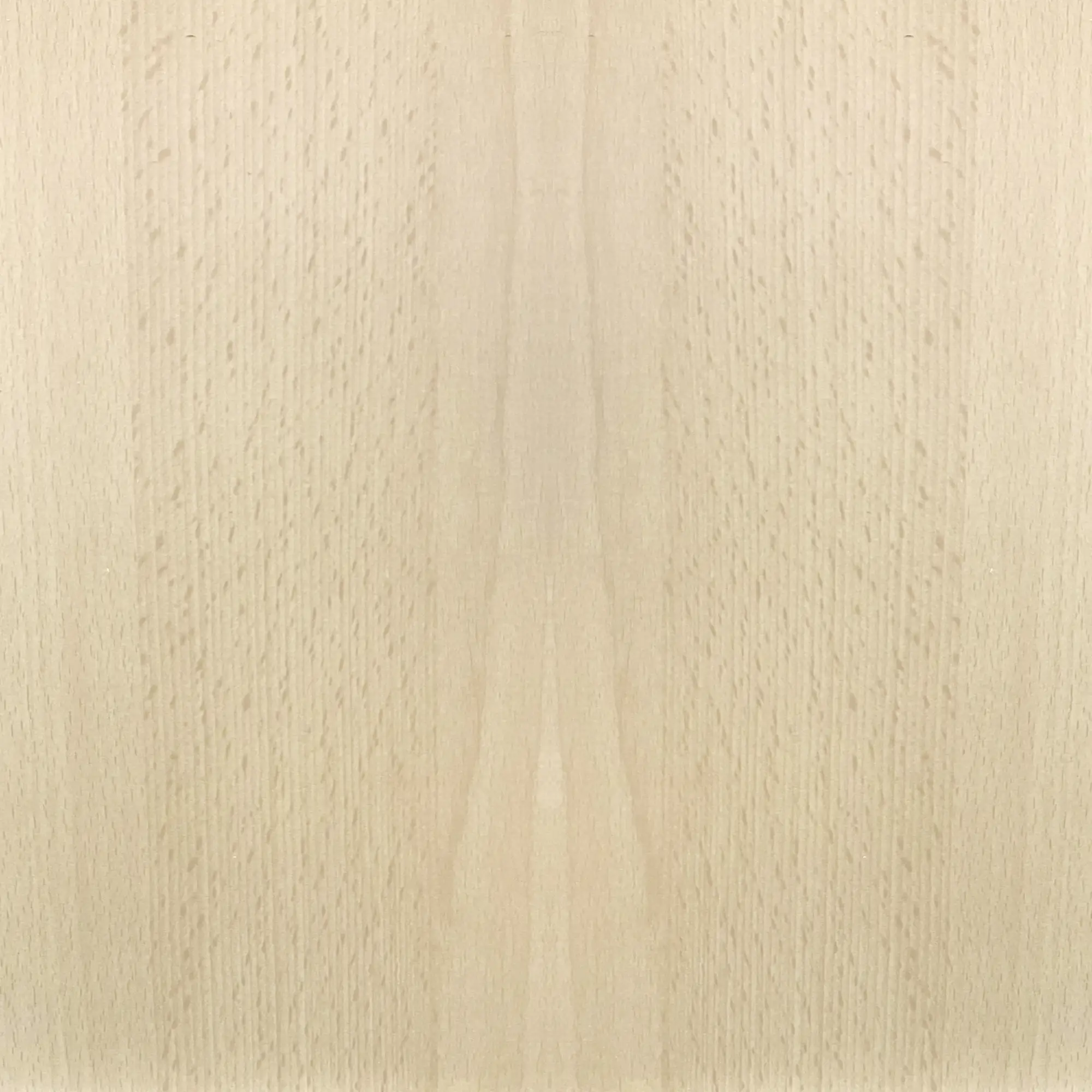 FN Neuhofer Flachleiste 95 cm 20 x 10 mm Buche