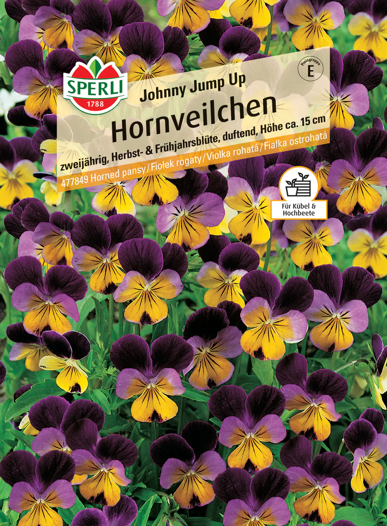 Sperli Hornveilchen Johnny Jump Up