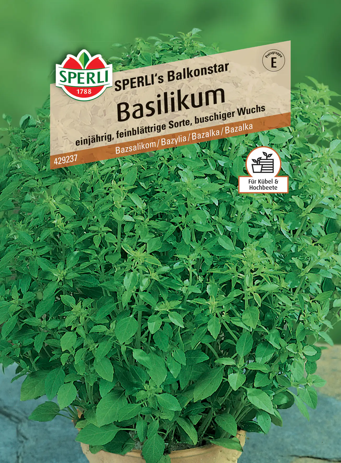 Sperli Basilikum Sperli 's Balkonstar Sperli Basilikum Sperli 's Balkonstar