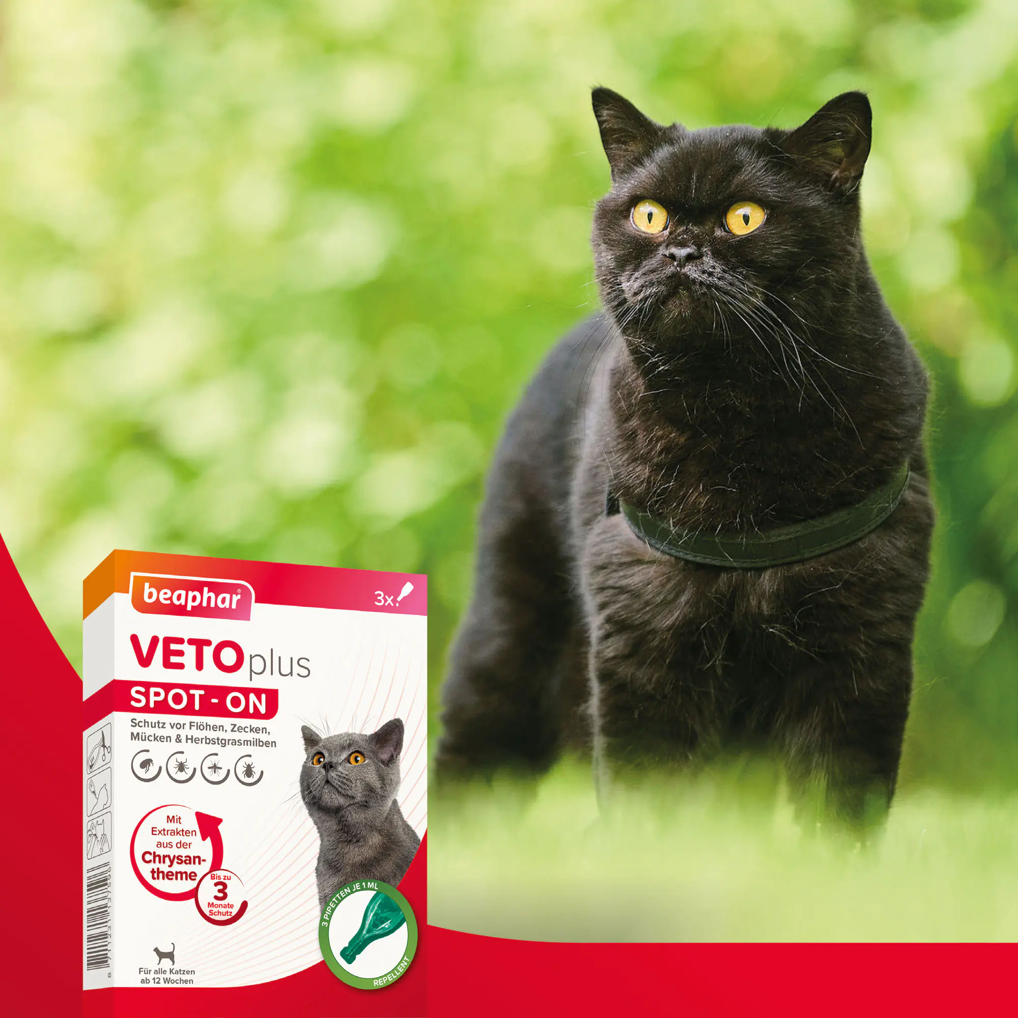 Beaphar Spot-on VETOplus für Katzen 3 x 1 ml Beaphar Spot-on VETOplus für Katzen 3 x 1 ml