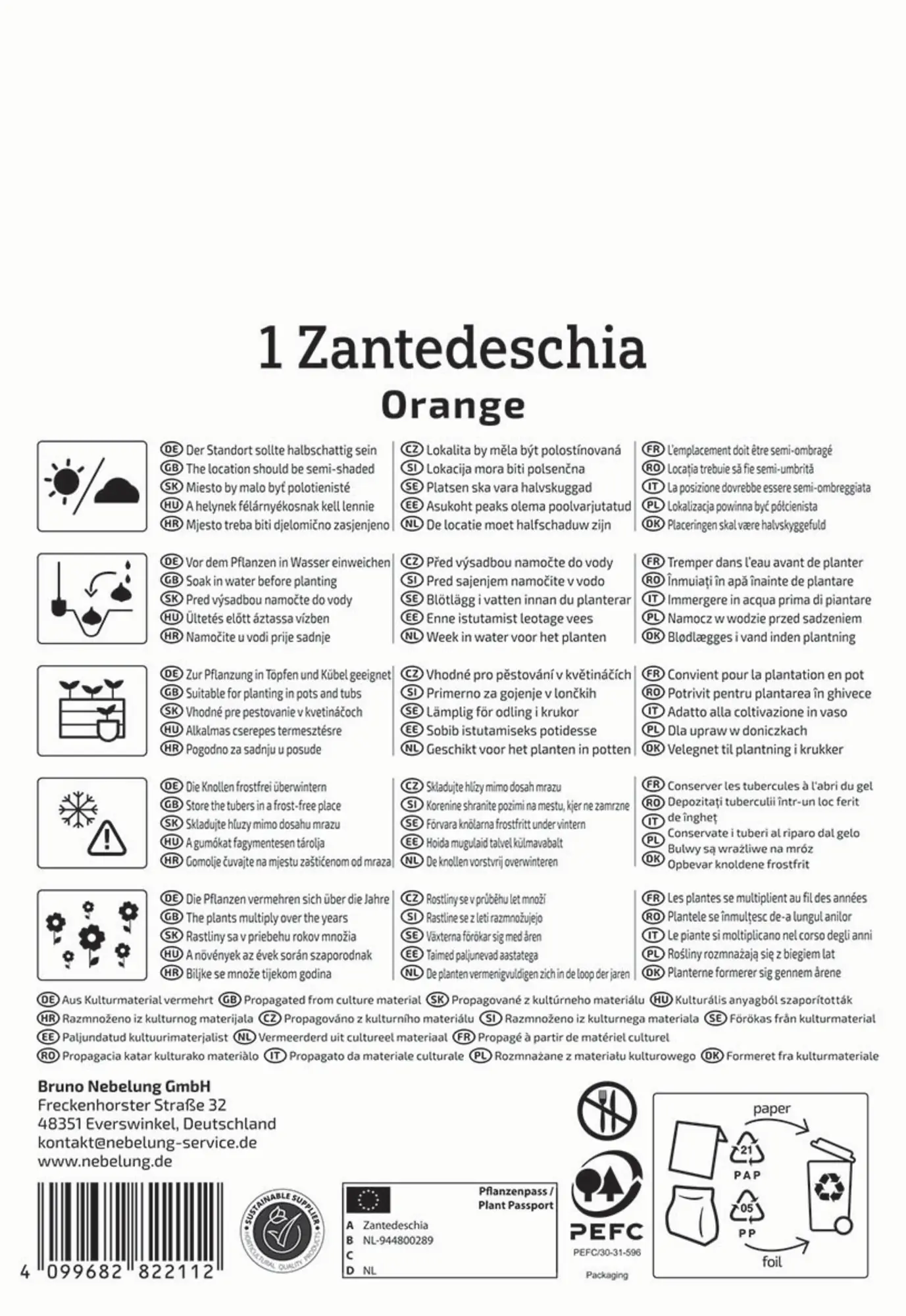 Kiepenkerl Frühjahrsblumenzwiebel Calla Orange 1 Stück