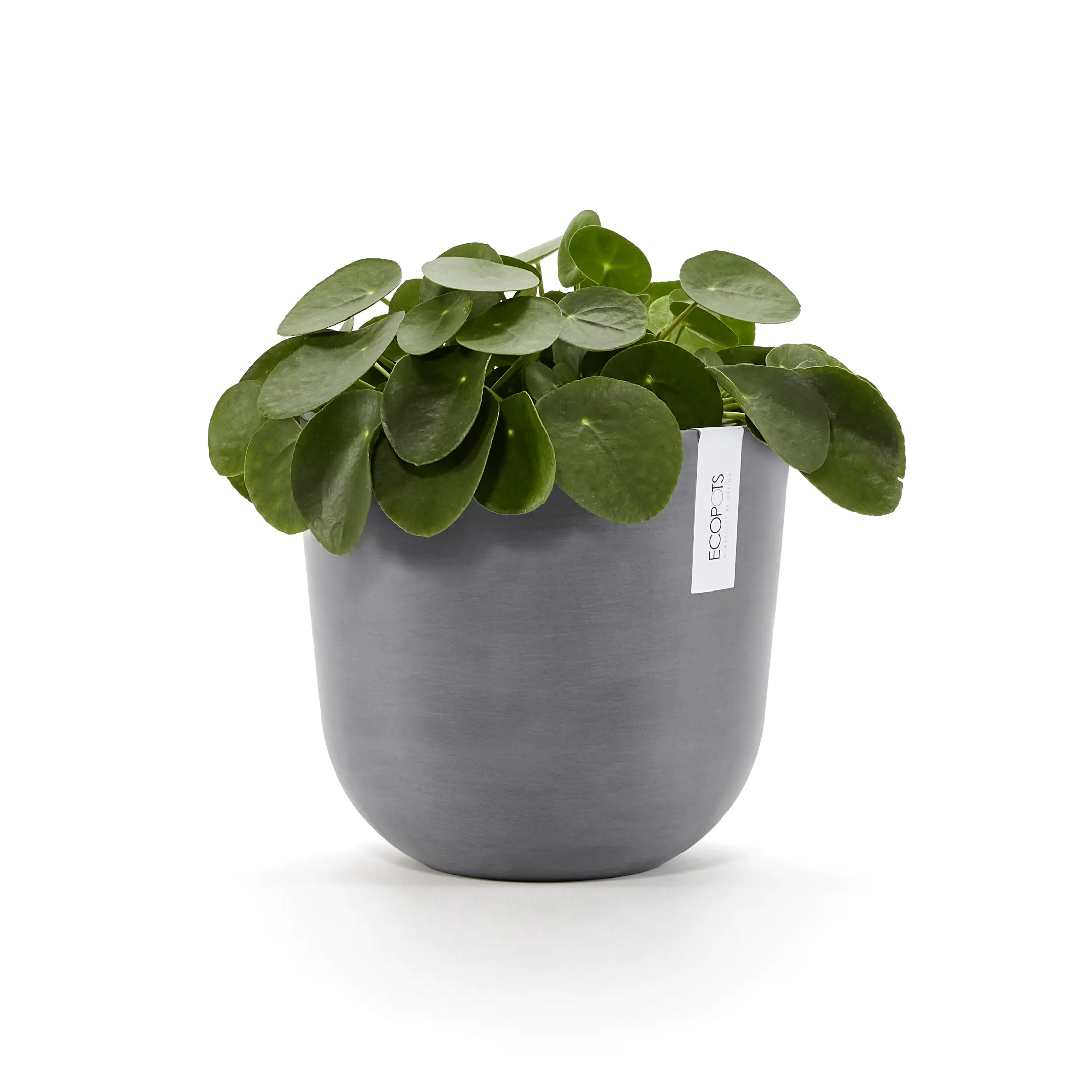 Ecopots Pflanztopf Oslo Ø 25 x 21,8 cm grau Ecopots Pflanztopf Oslo Ø 25 x 21,8 cm grau