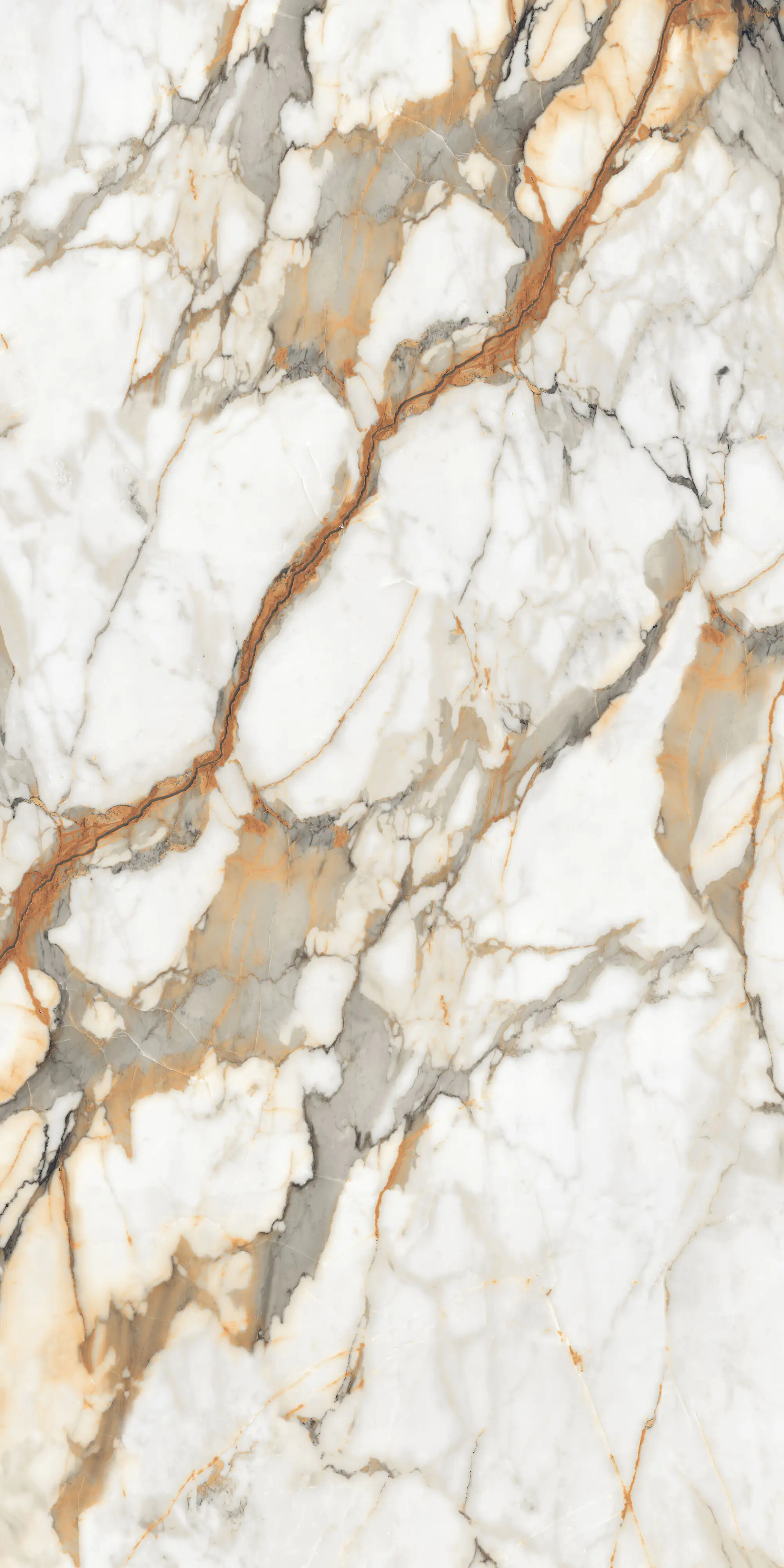 Bodenfliese Feinsteinzeug Visage Gold Plus 120 x 240 cm weiß