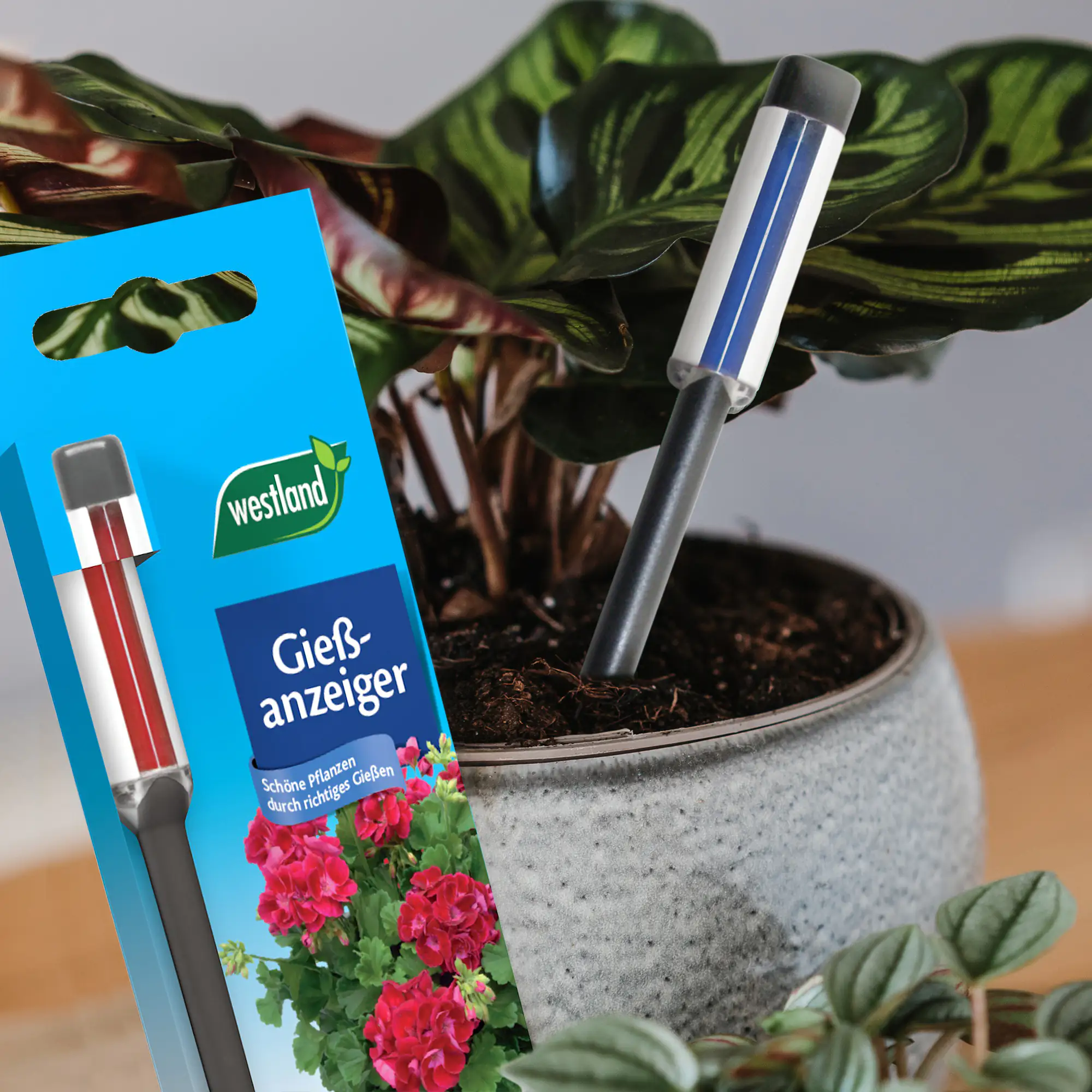 Westland Gießanzeiger groß anthrazit 26 cm