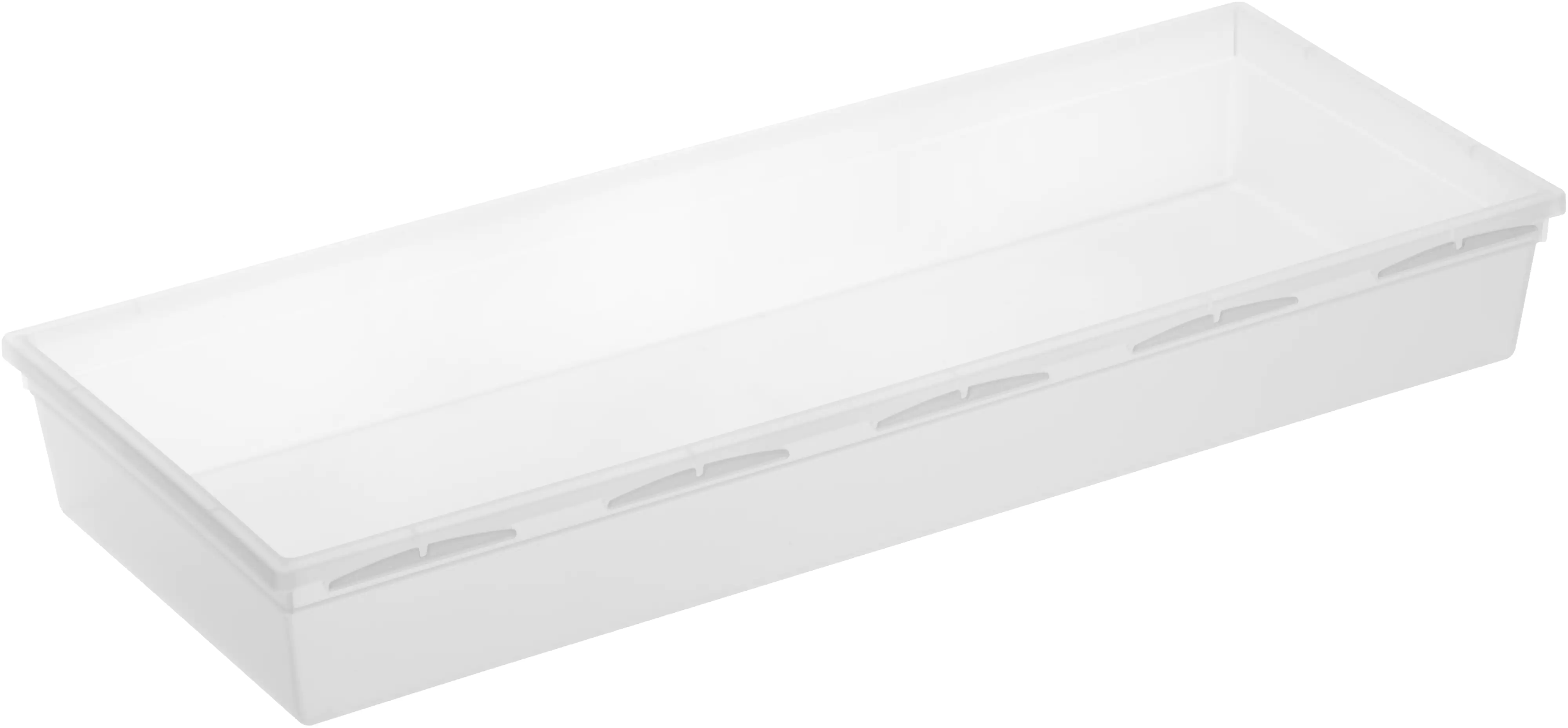 Rotho Ordnungssystem Basic 38 x 15 x 5 cm, transparent