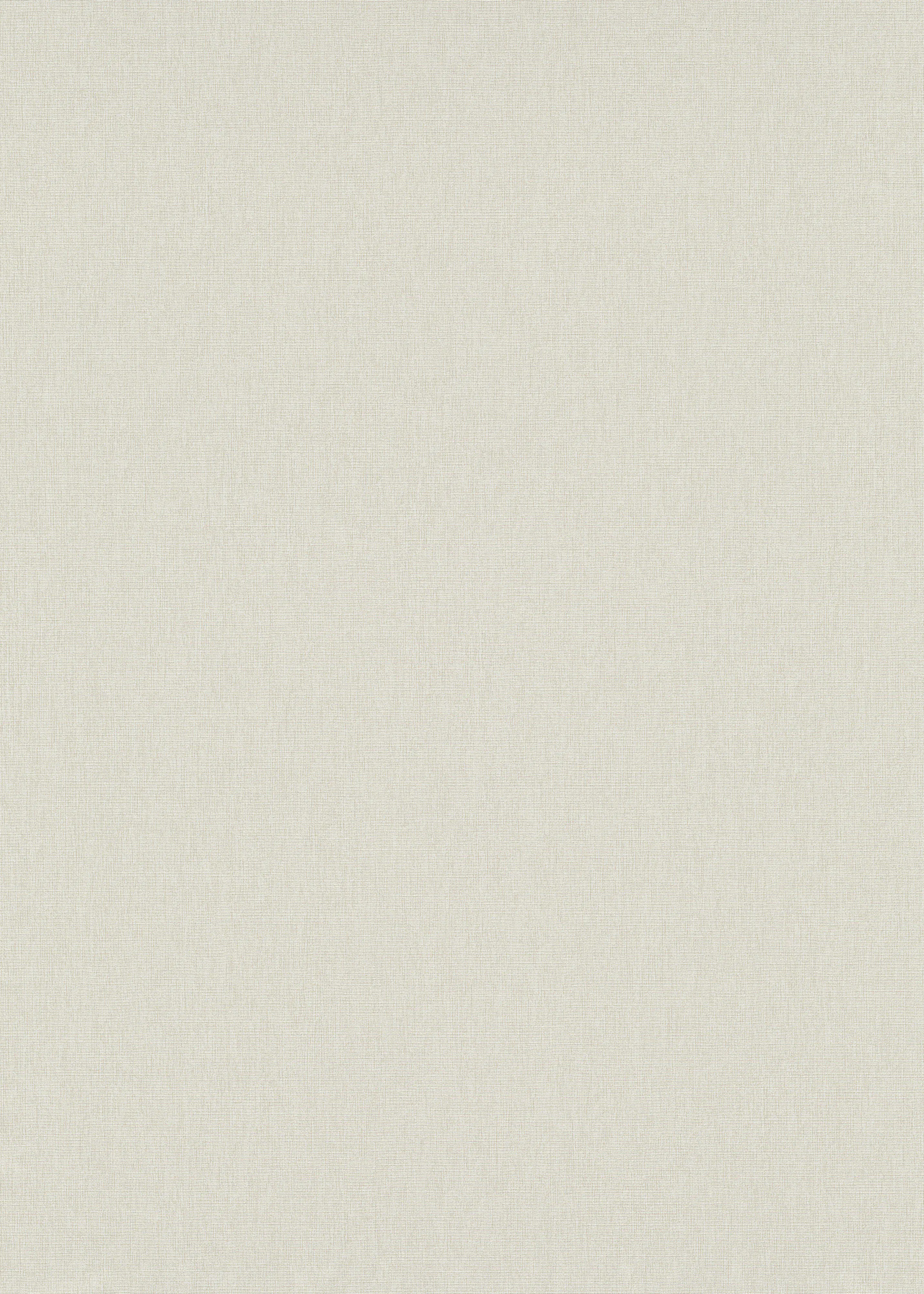 Erismann Vliestapete Uni Martinique beige 10,05 x 0,53 m