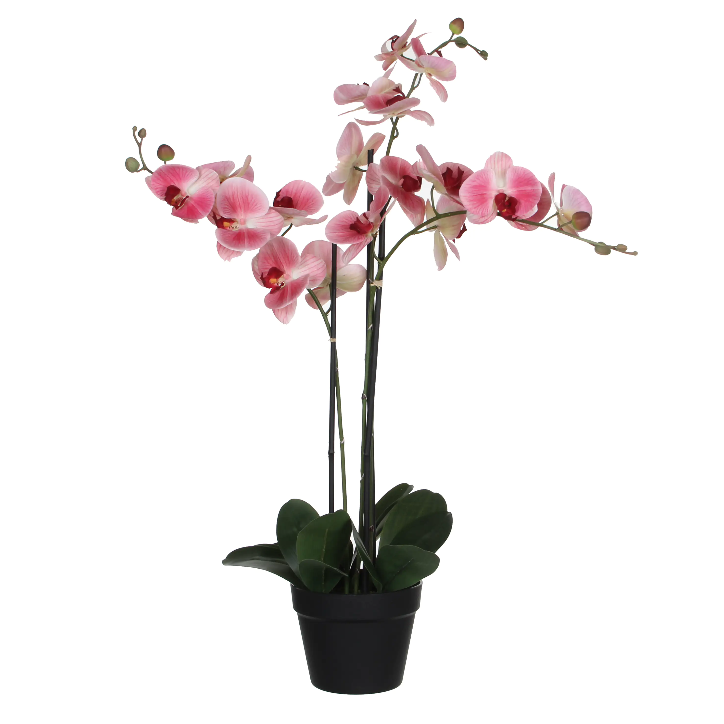 Mica Kunstpflanze Phalaenopsis im Topf rosa, 75 x 51 x 79 cm