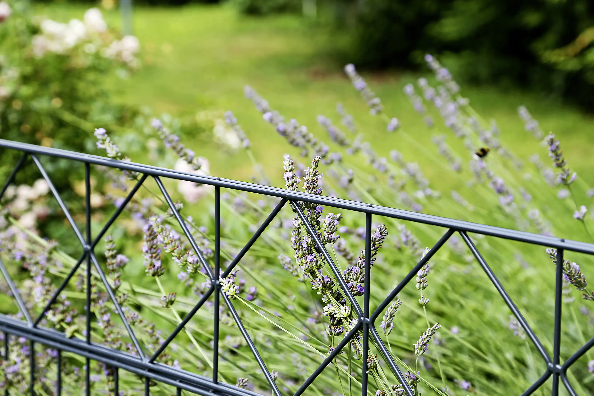 Alberts Dekorelement Design Bergen 200 x 20 cm anthrazit