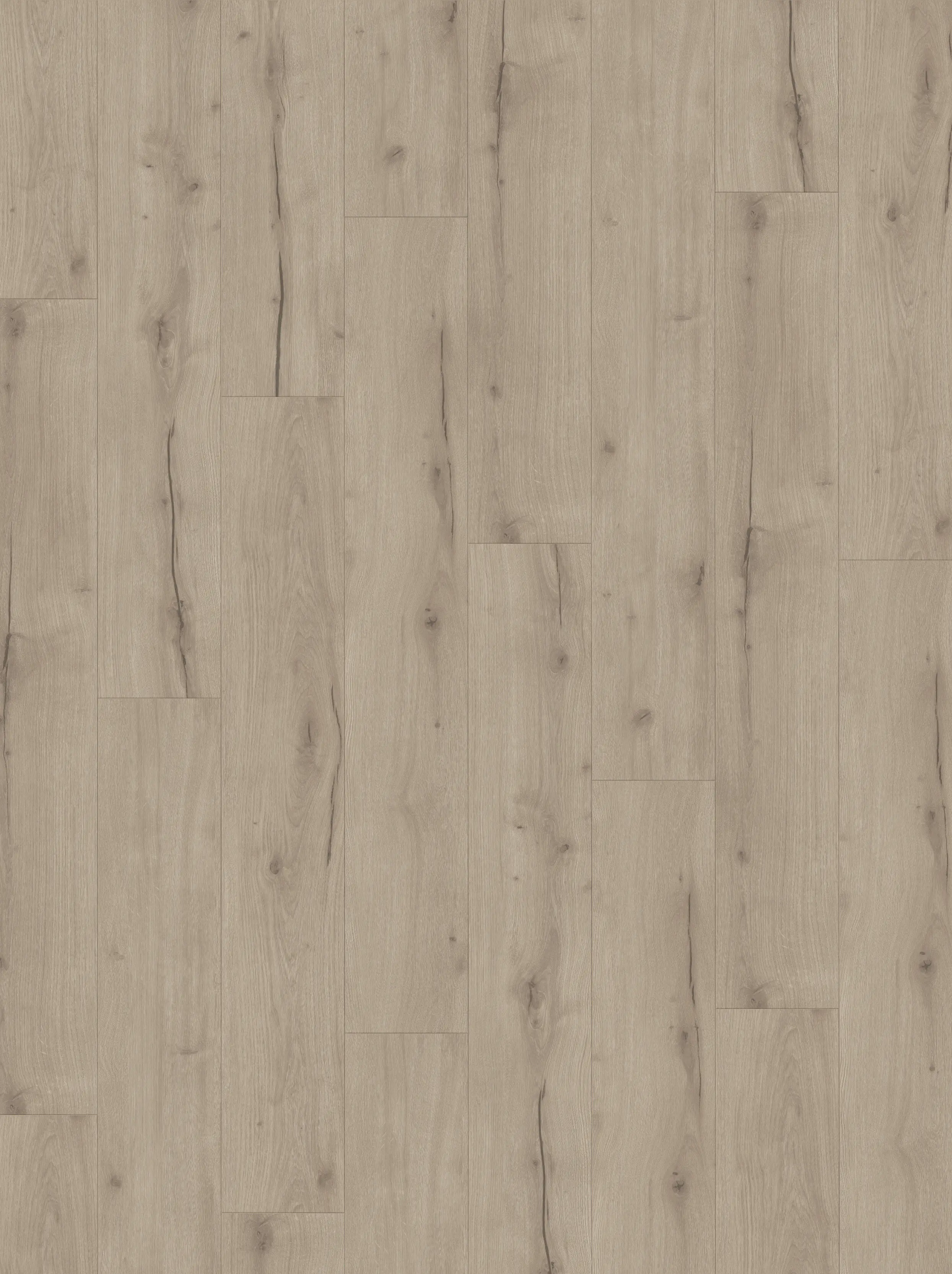 Parador Designboden mit Trittschalldämmung Modular One Eiche Helios grau