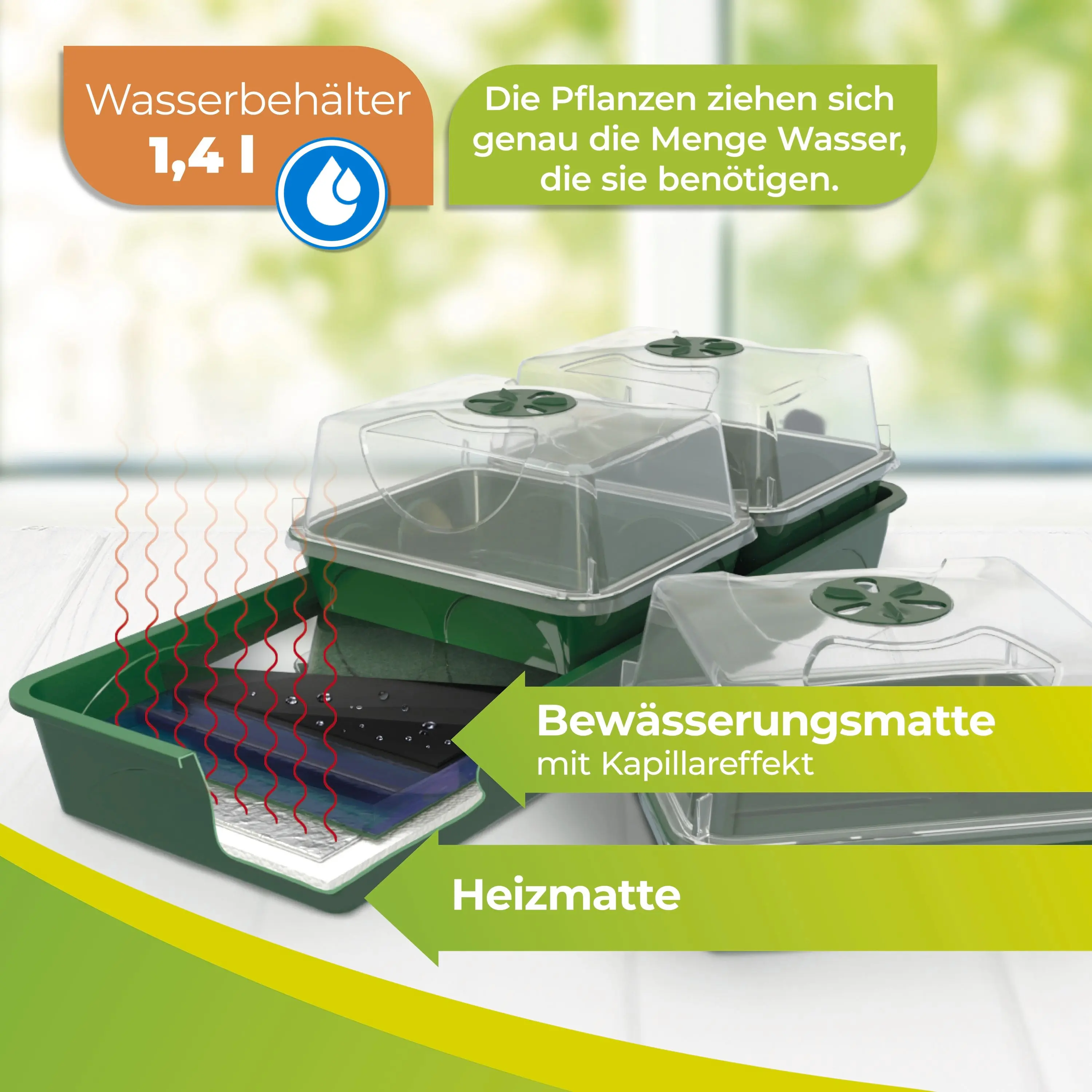 BioGreen Anzuchtstation Hollandia grün/schwarz 54 x 21 cm mit 3 Klimakammern beheizbar