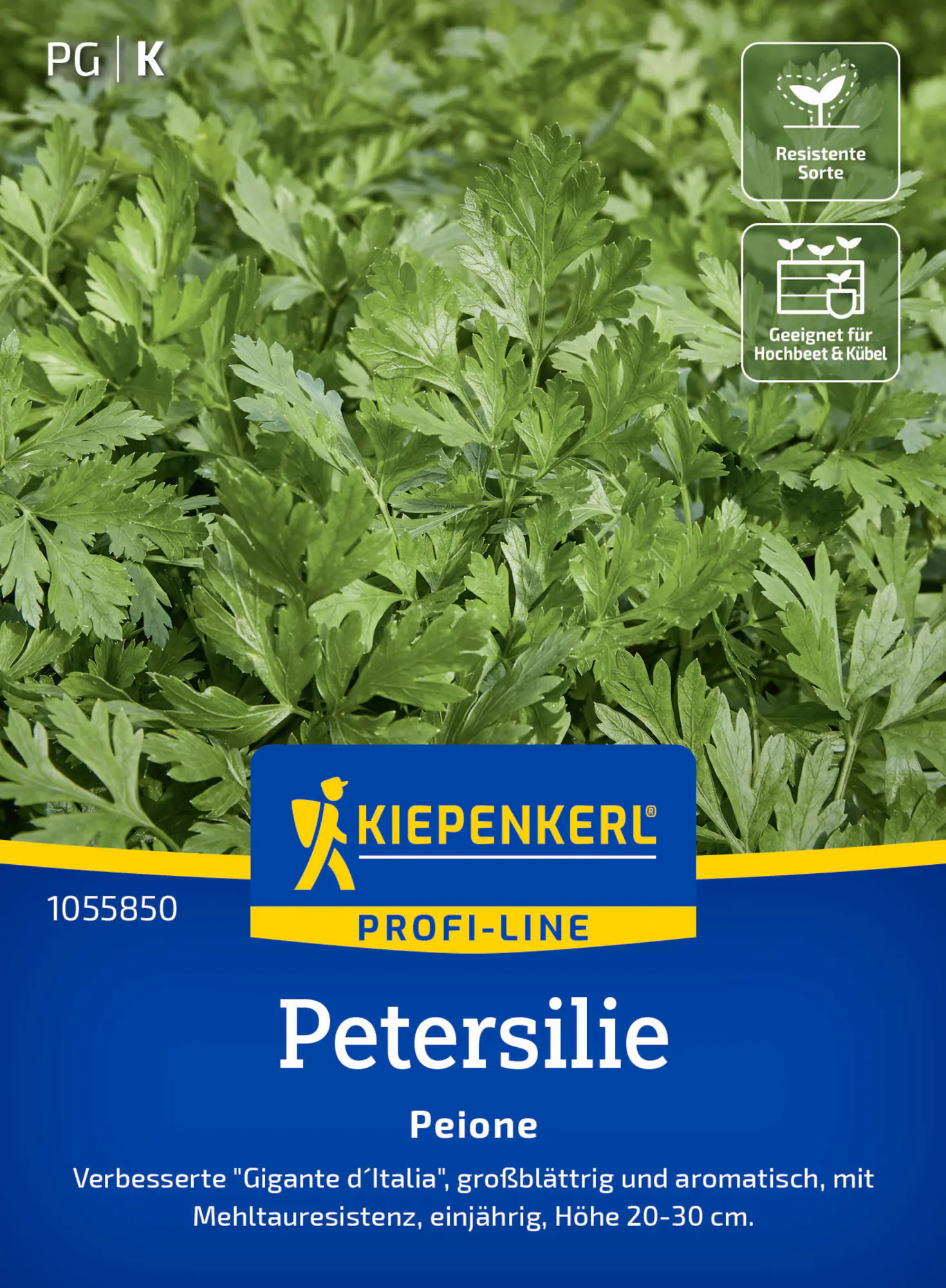 Kiepenkerl Saatgut Profi-Line Petersilien Peione ca. 150 Pflanzen