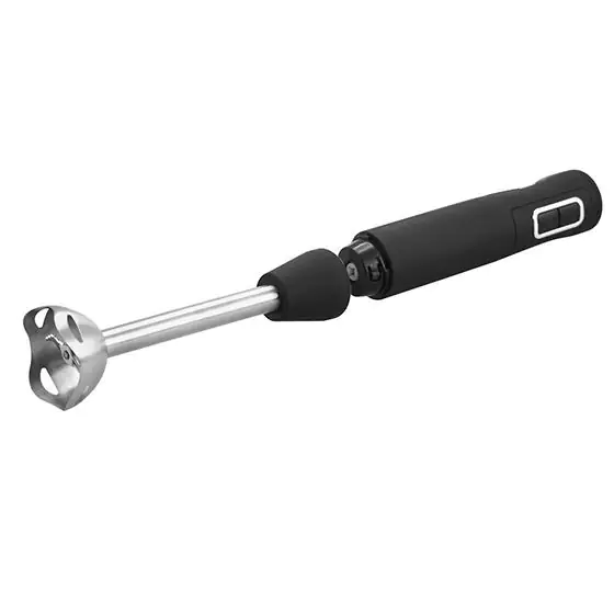 Emerio Stabmixer HB-111446, 250 Watt, Edelstahlfuß