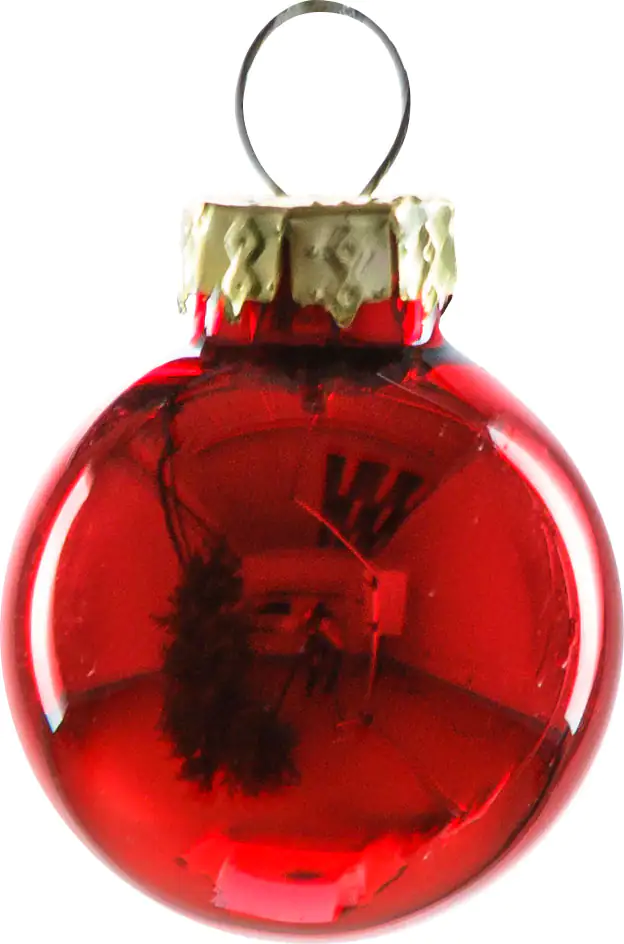2076601538769_02 TrendLine Weihnachtskugeln aus Glas Ø 2,5 cm rot 24 Stück