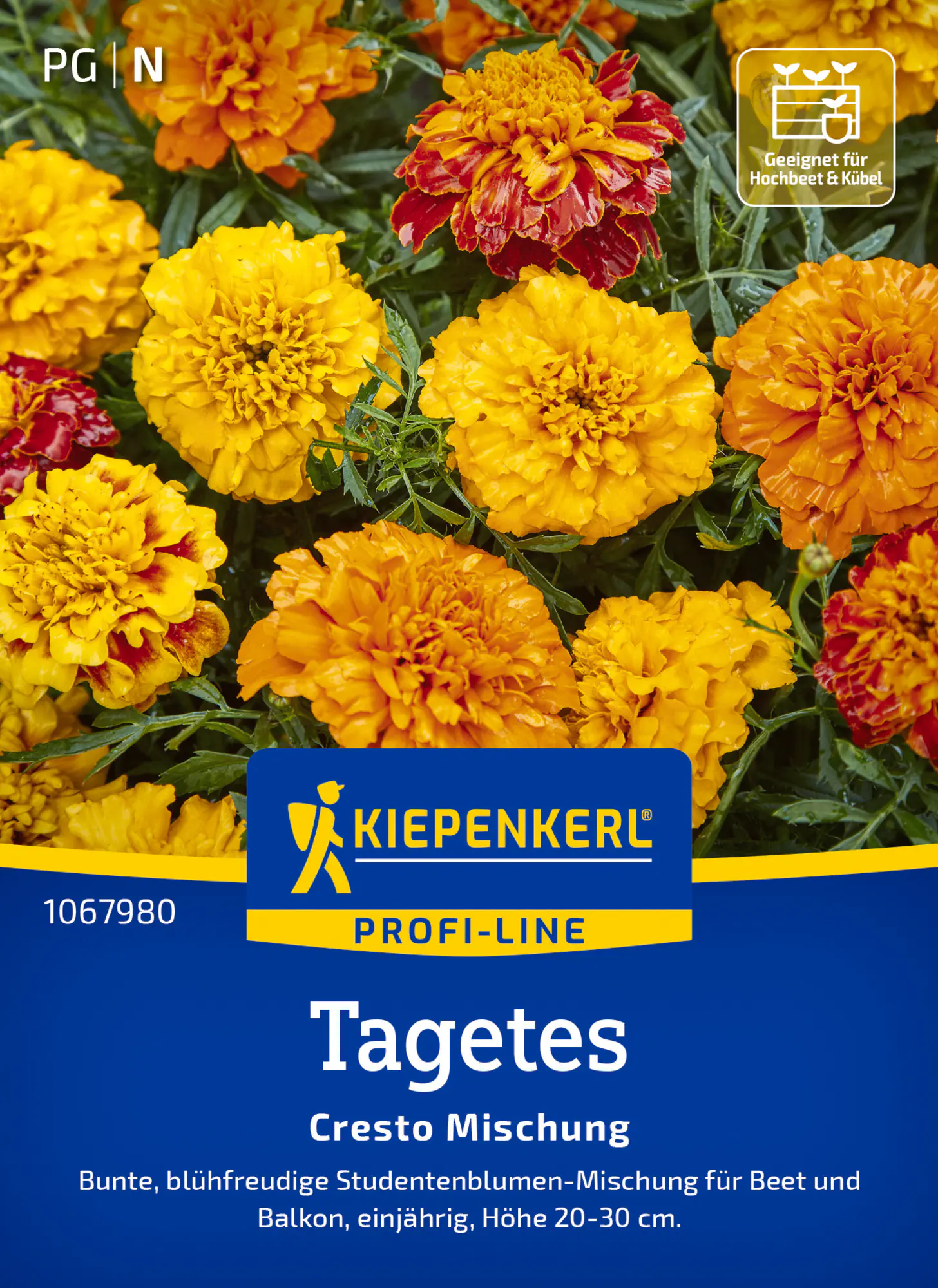 Kiepenkerl Profi-Line Blumensamen Tagetes Cresto Mischung für ca. 60 Pflanzen