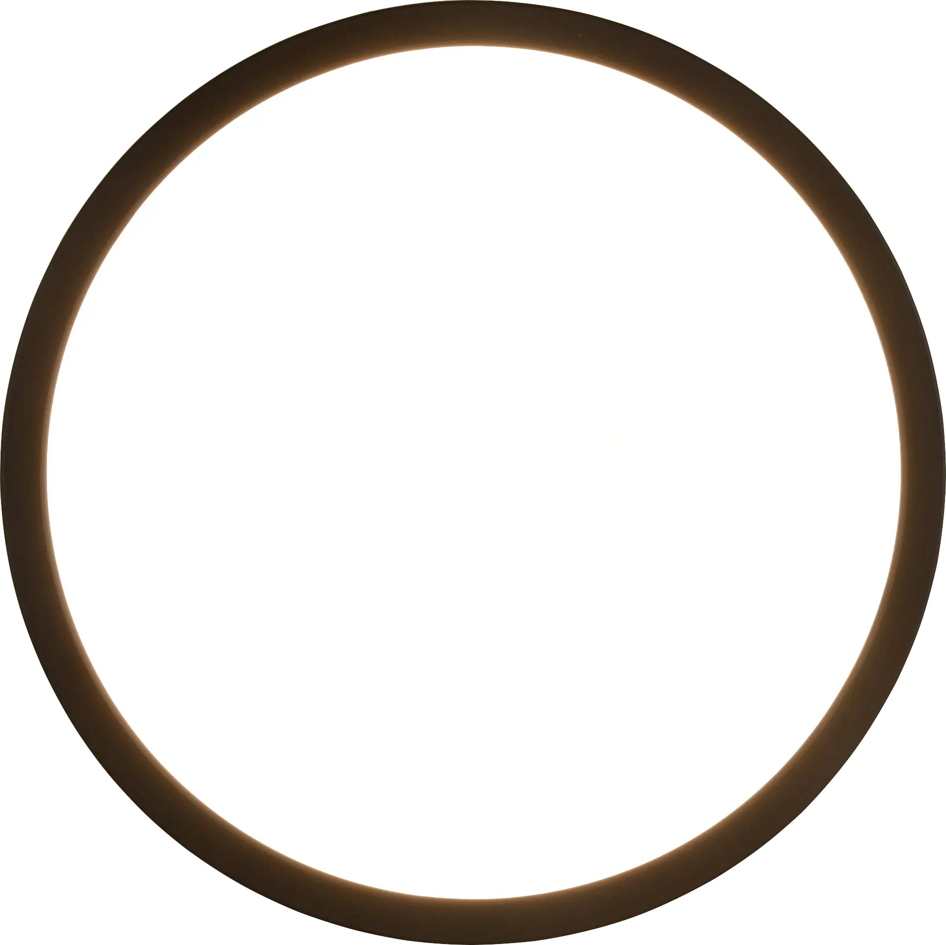 Trio Leuchten LED Deckenleuchte Aureo 18W, schwarz