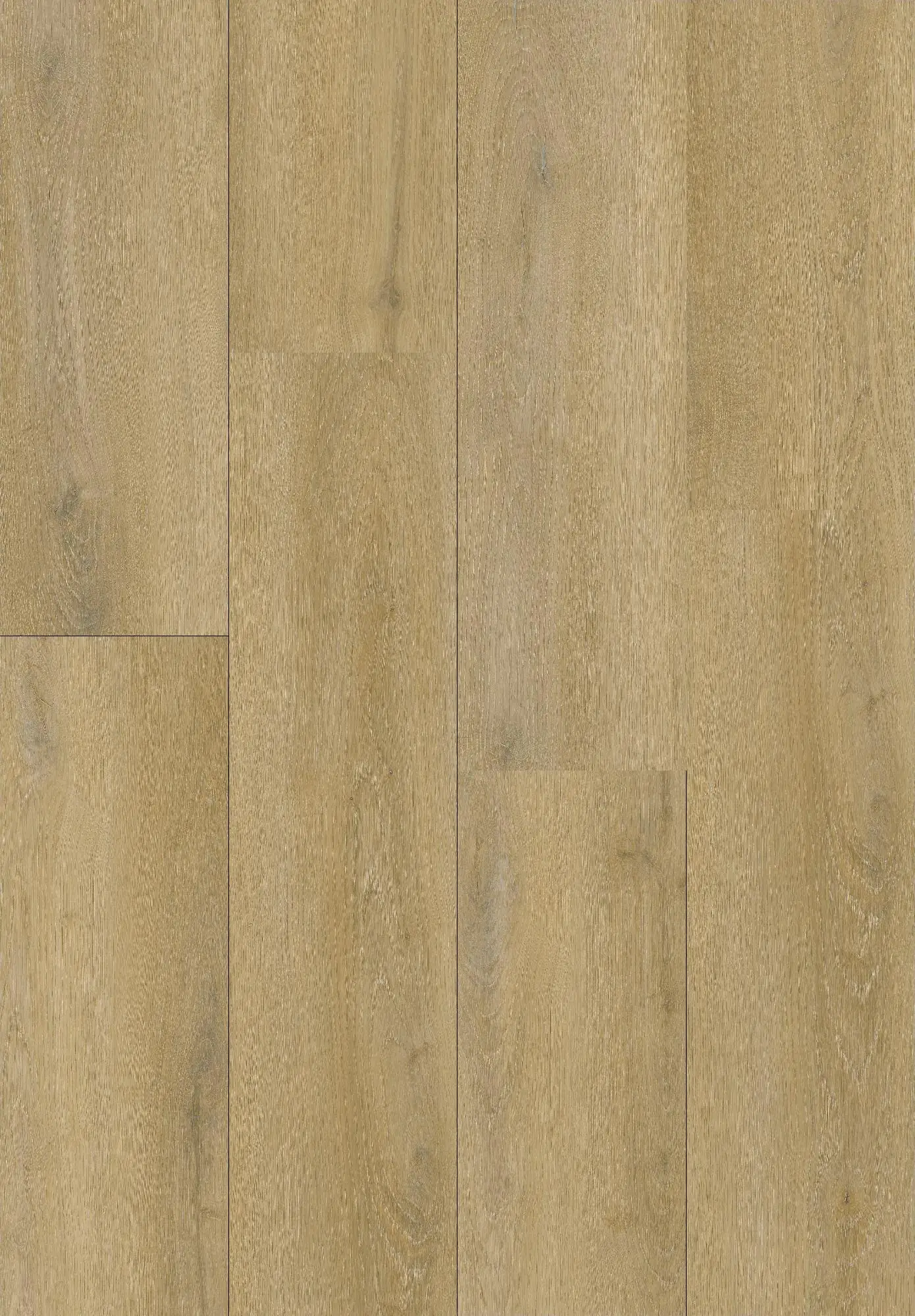 Primaster Vinylboden Eiche Royal Primaster Vinylboden Eiche Royal