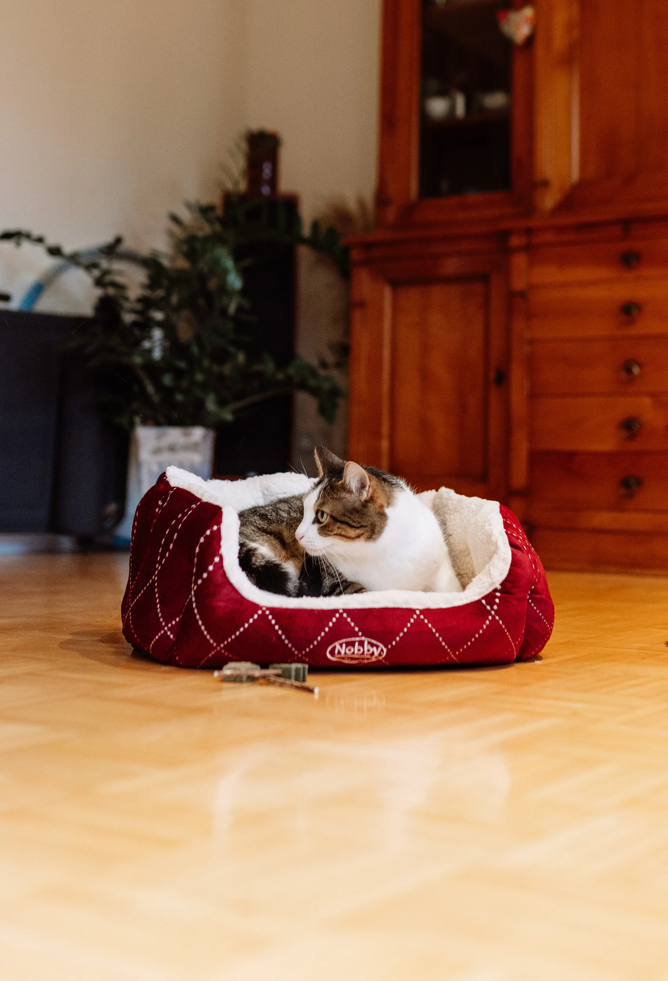 Nobby Komfortbett Ceno oval weinrot/beige Nobby Komfortbett Ceno oval weinrot/beige