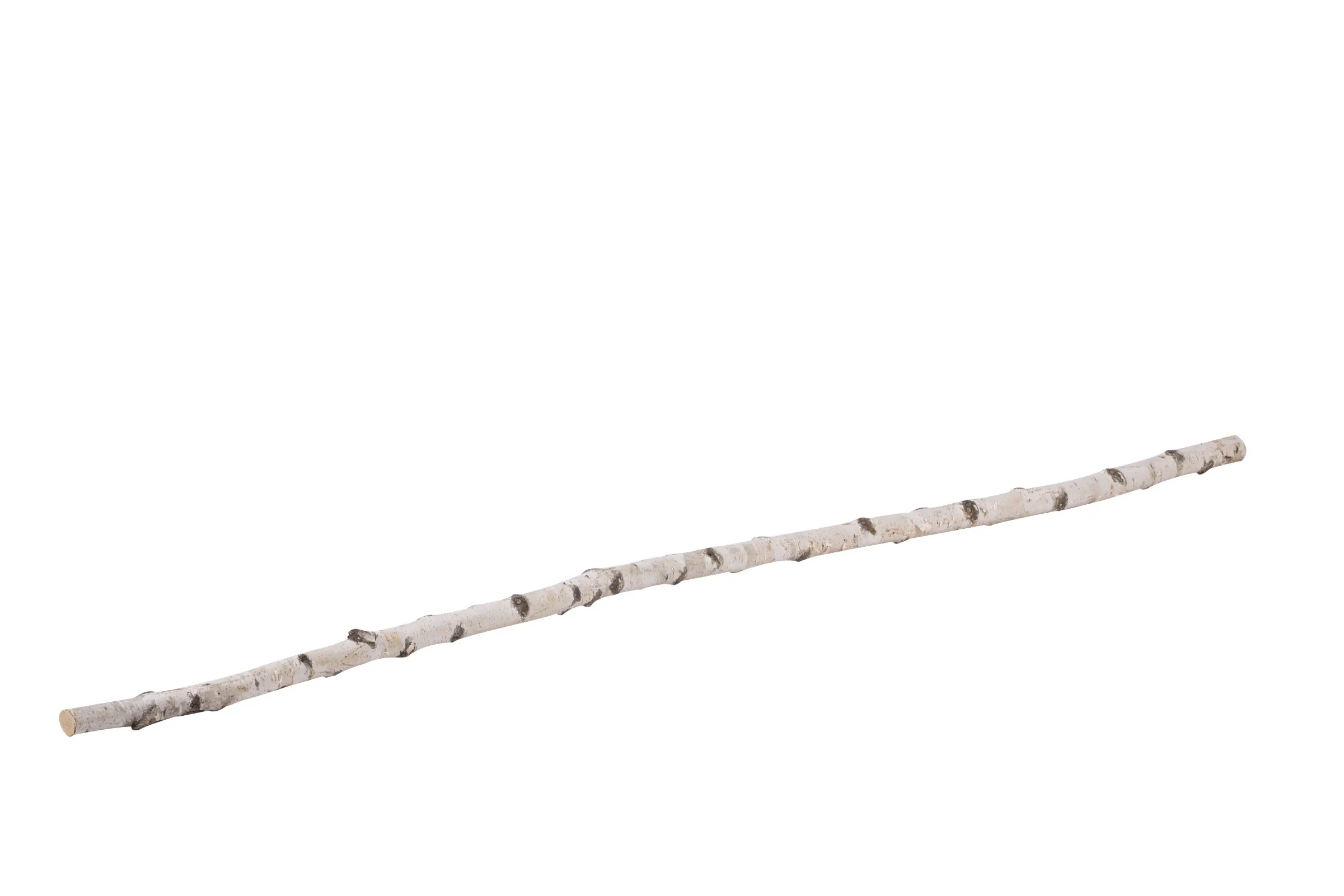 Birkenstamm 180 cm ø 2-4 cm